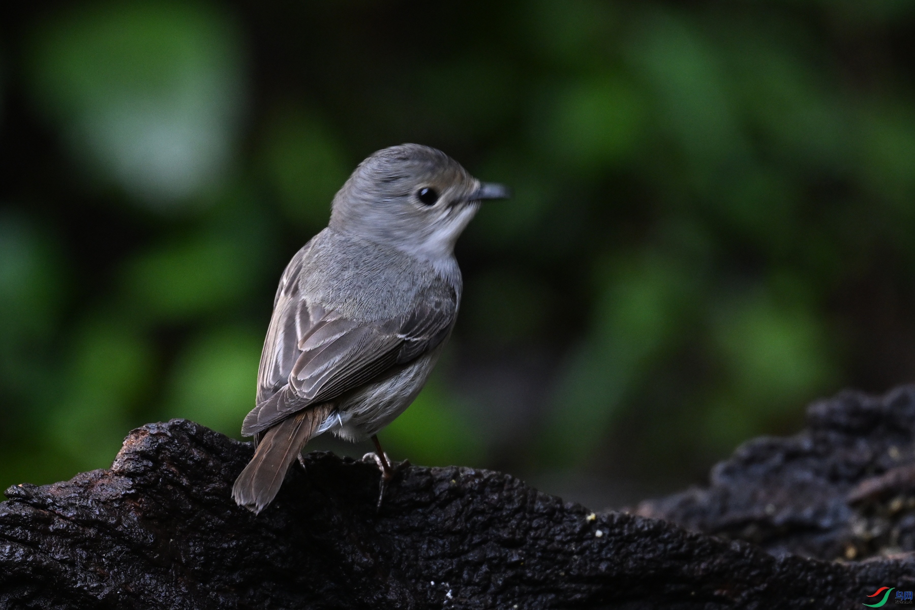 DSC_6961.JPG