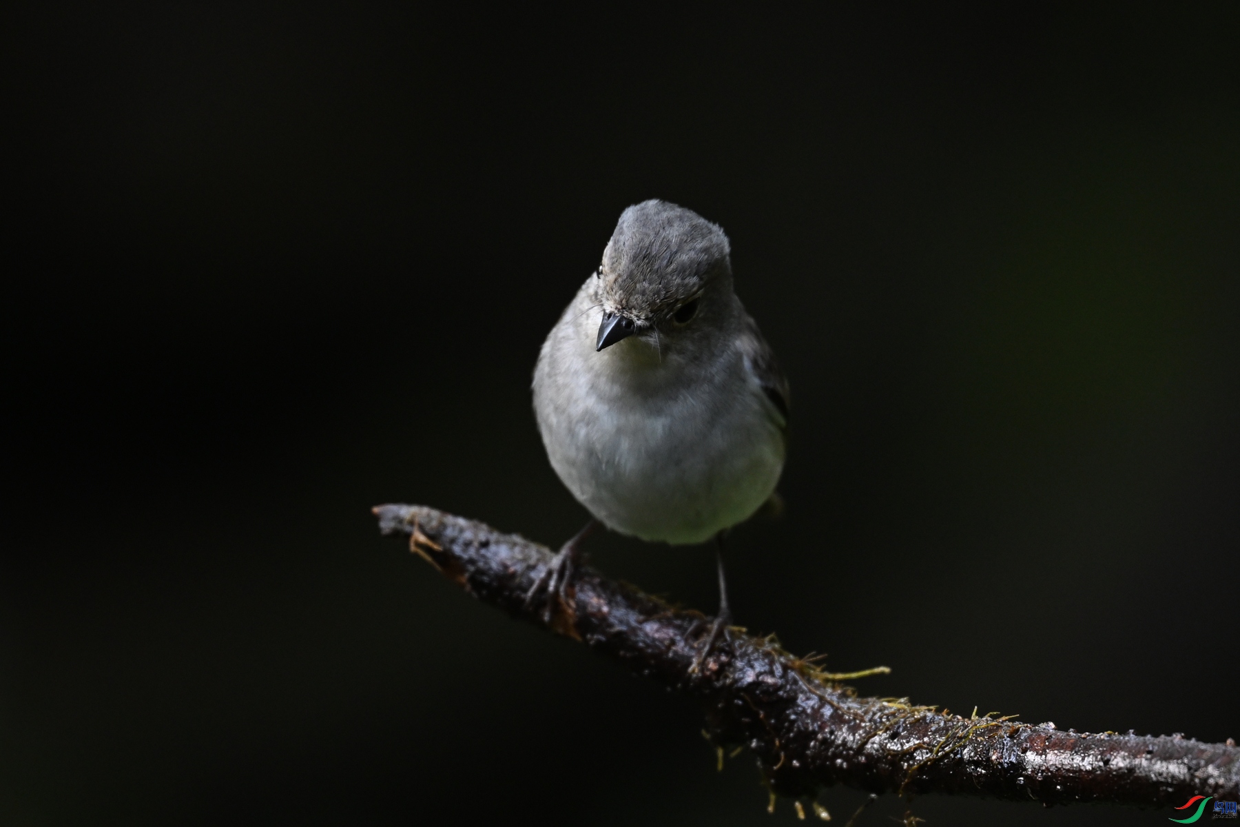 DSC_6965.JPG