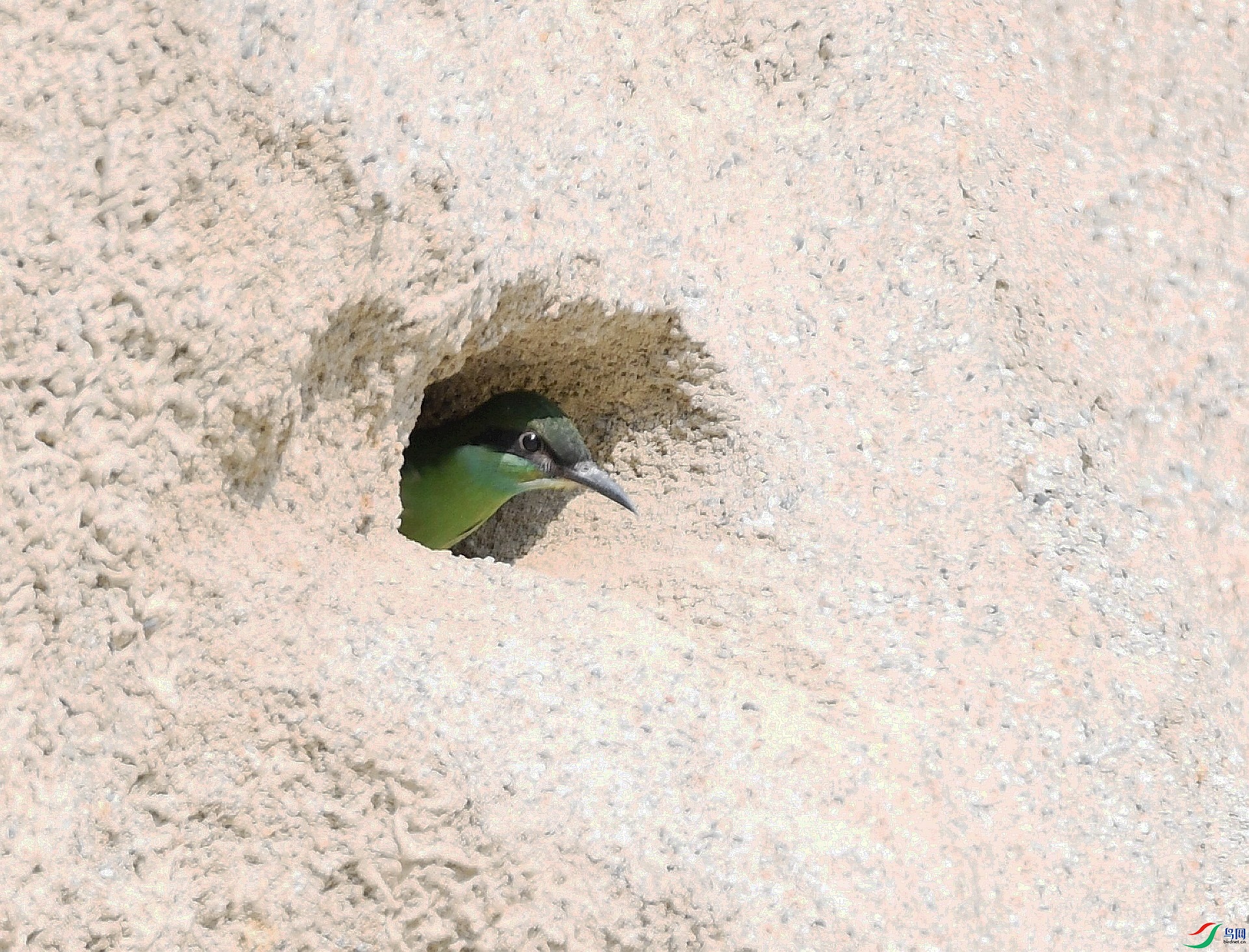DSC_0934.jpg
