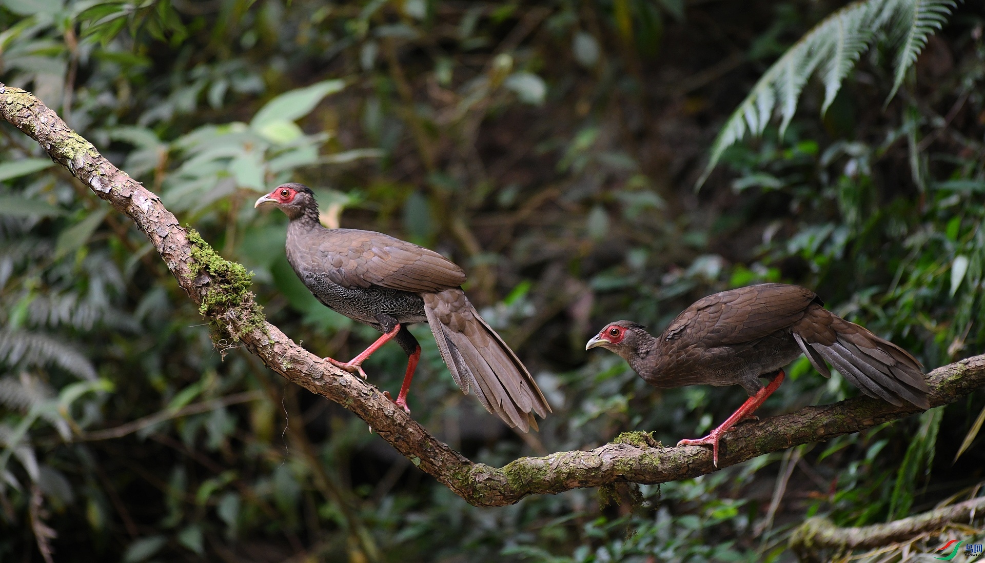 DSC_1549.jpg