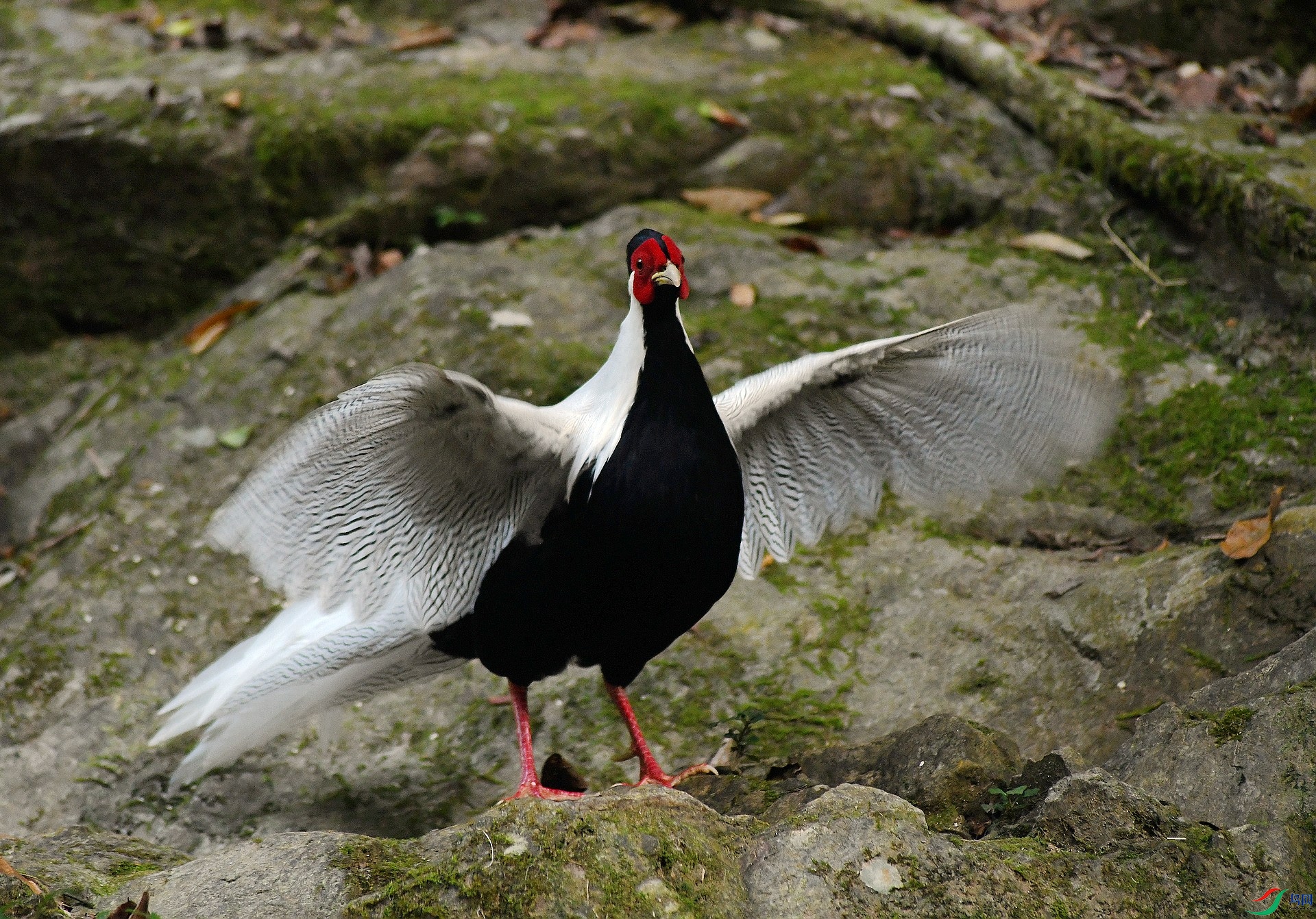DSC_2482.jpg