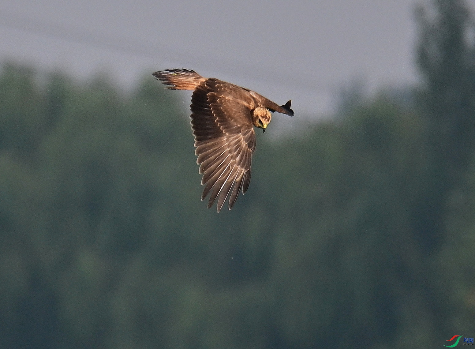 DSC_3069.JPG