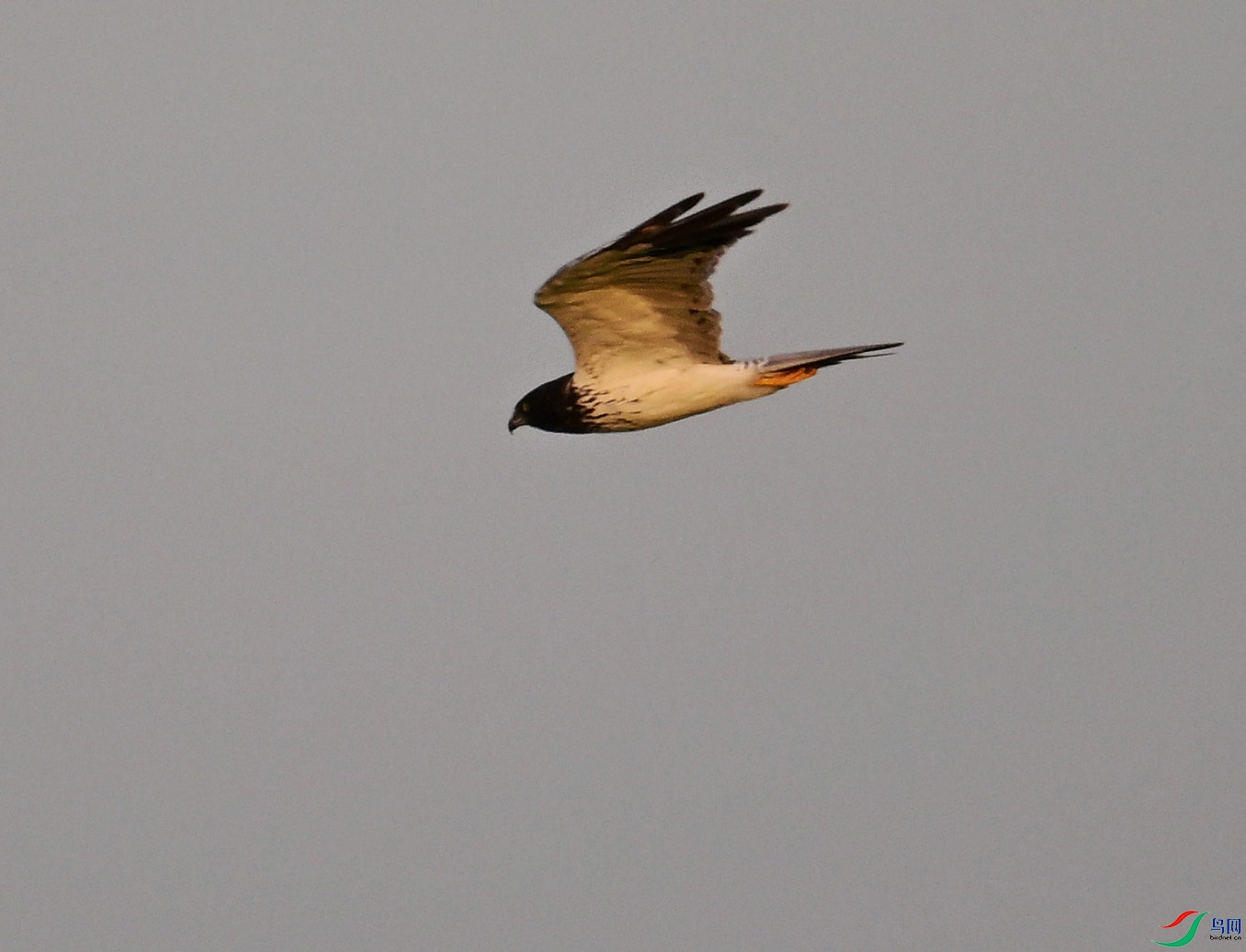 DSC_1358.JPG