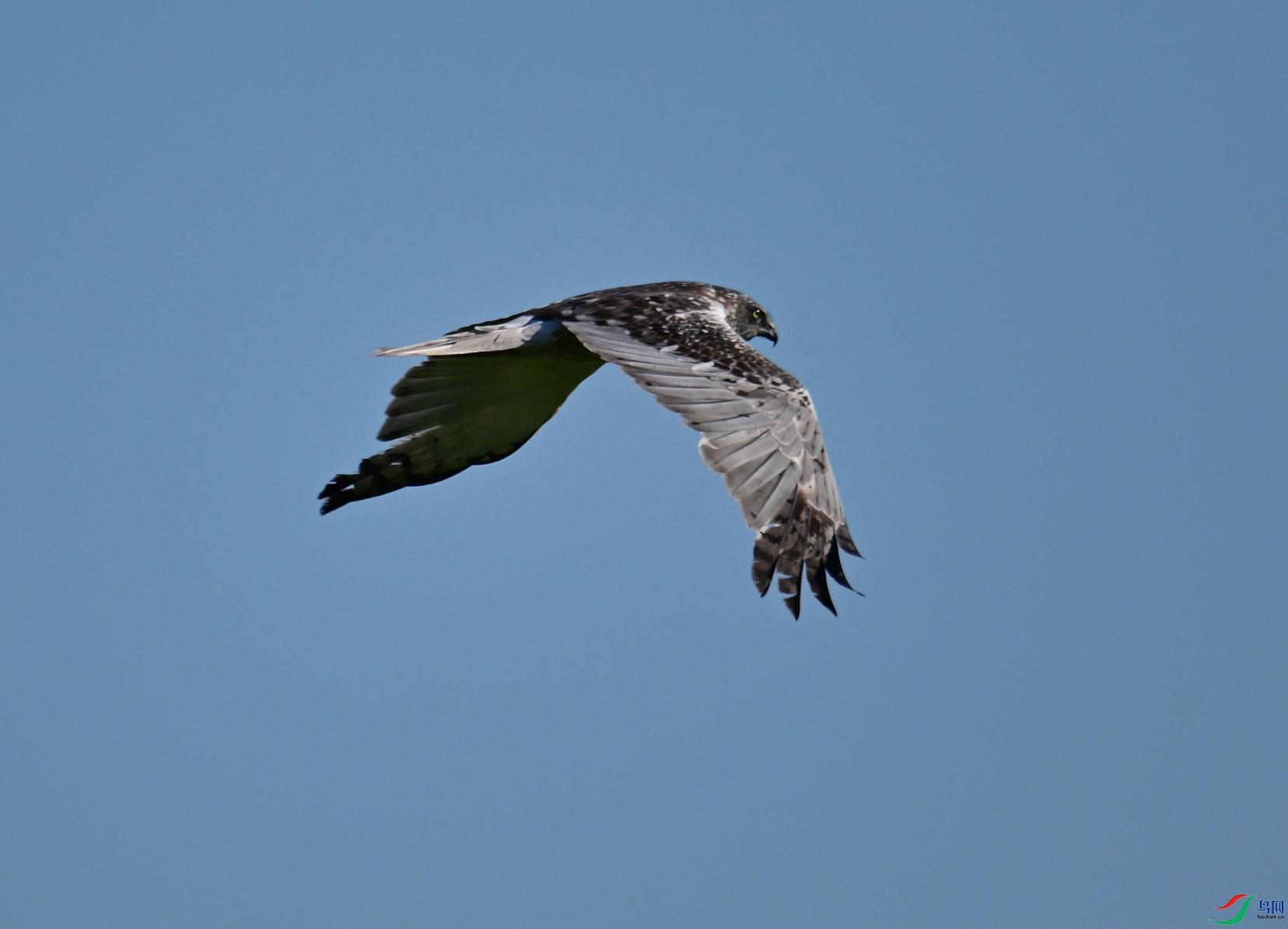 DSC_5432.JPG