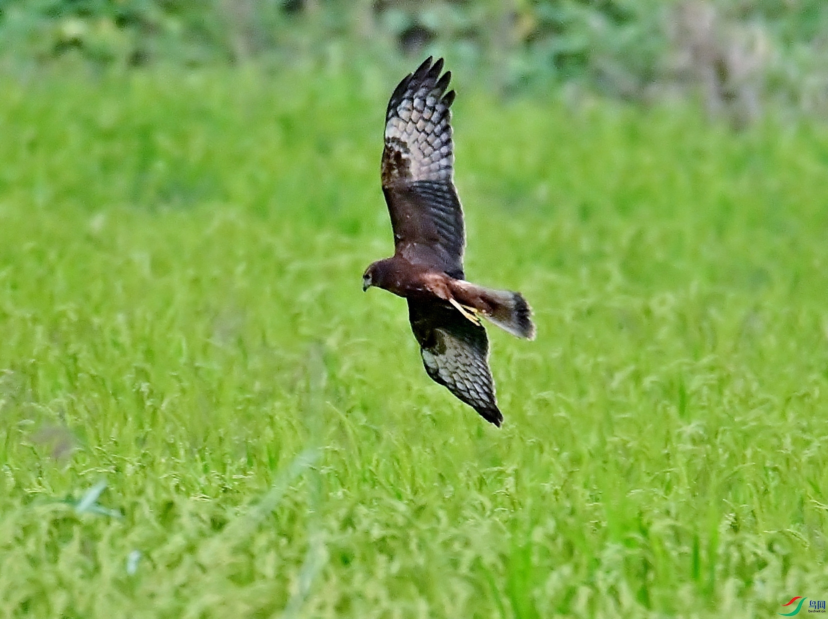 DSC_3496.JPG