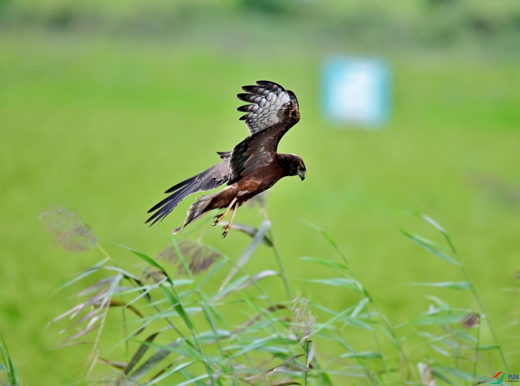 DSC_3609.JPG