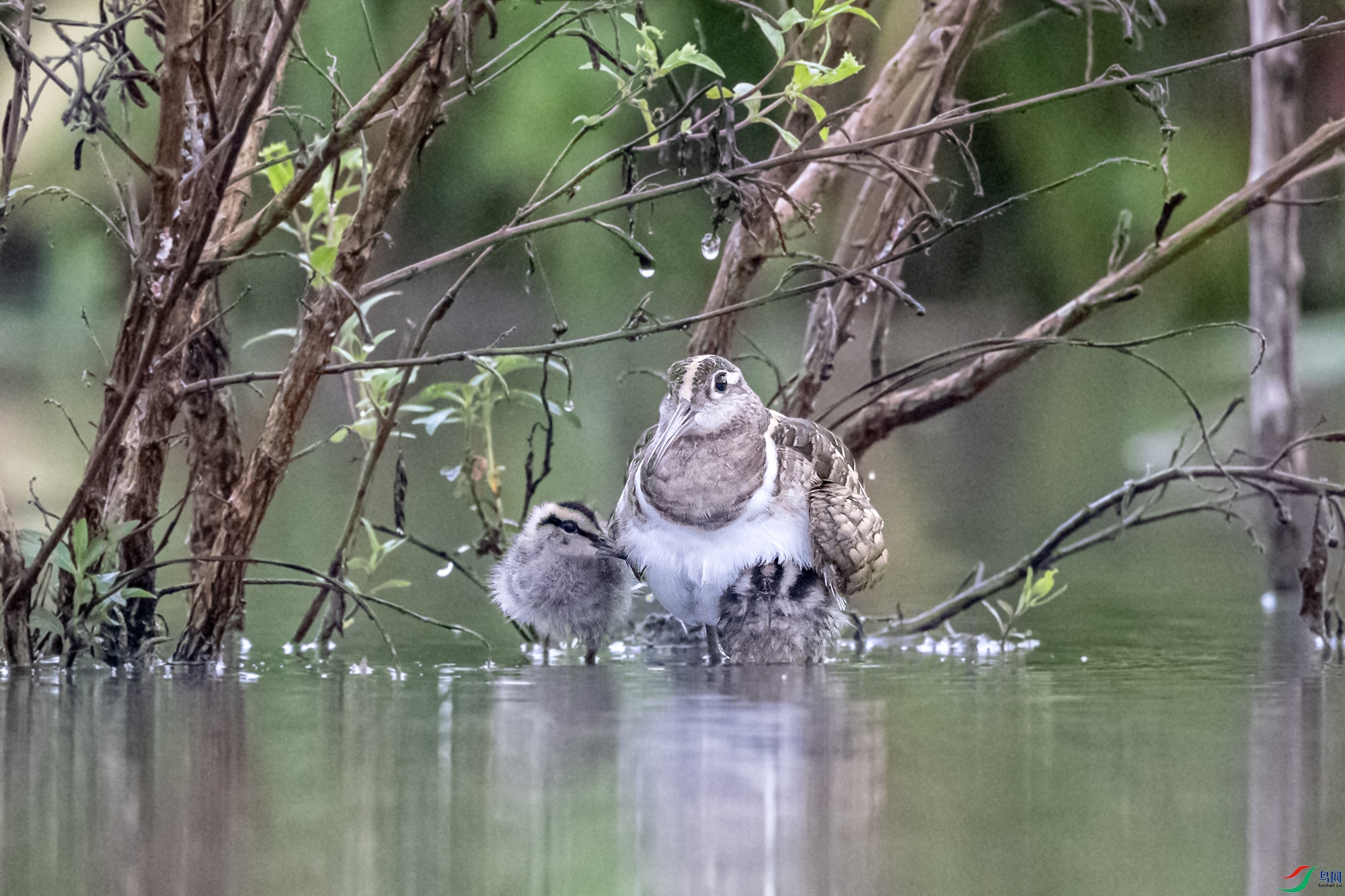 DSC_5196.jpg