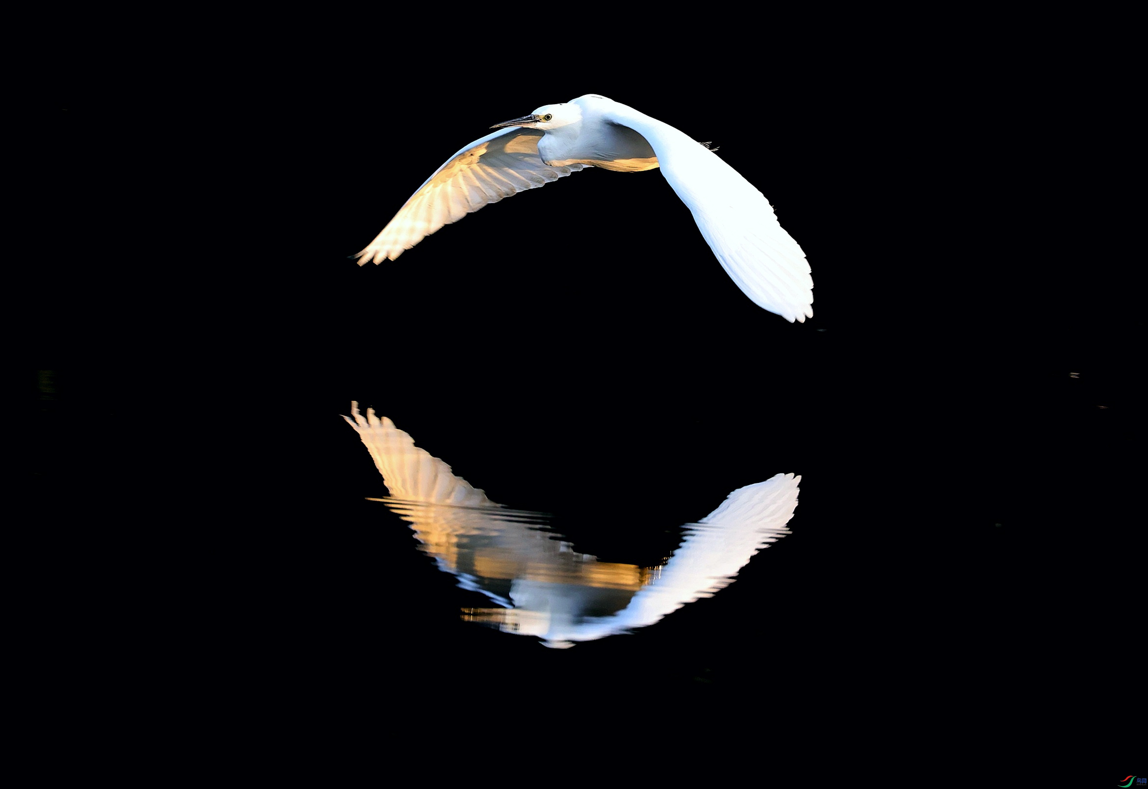 20201114173140_475A8764_edit_138219027215888-1.jpg