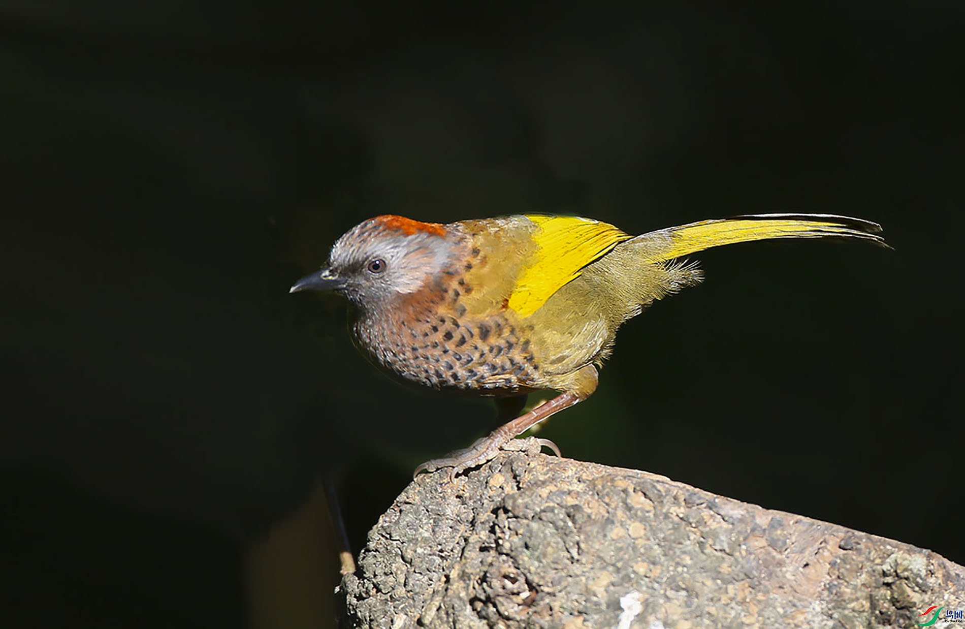 0B8A1026m.jpg