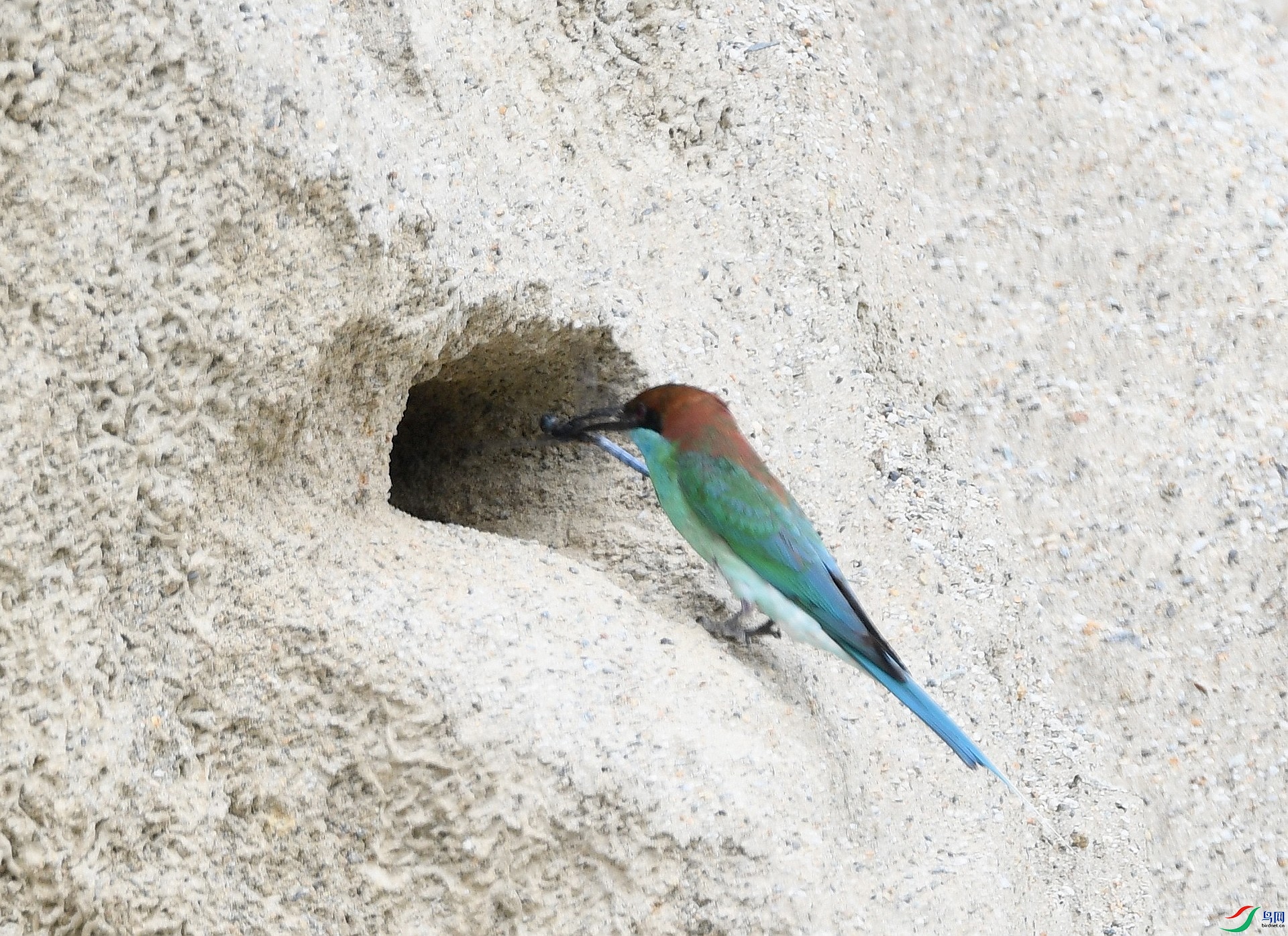 DSC_0076.jpg