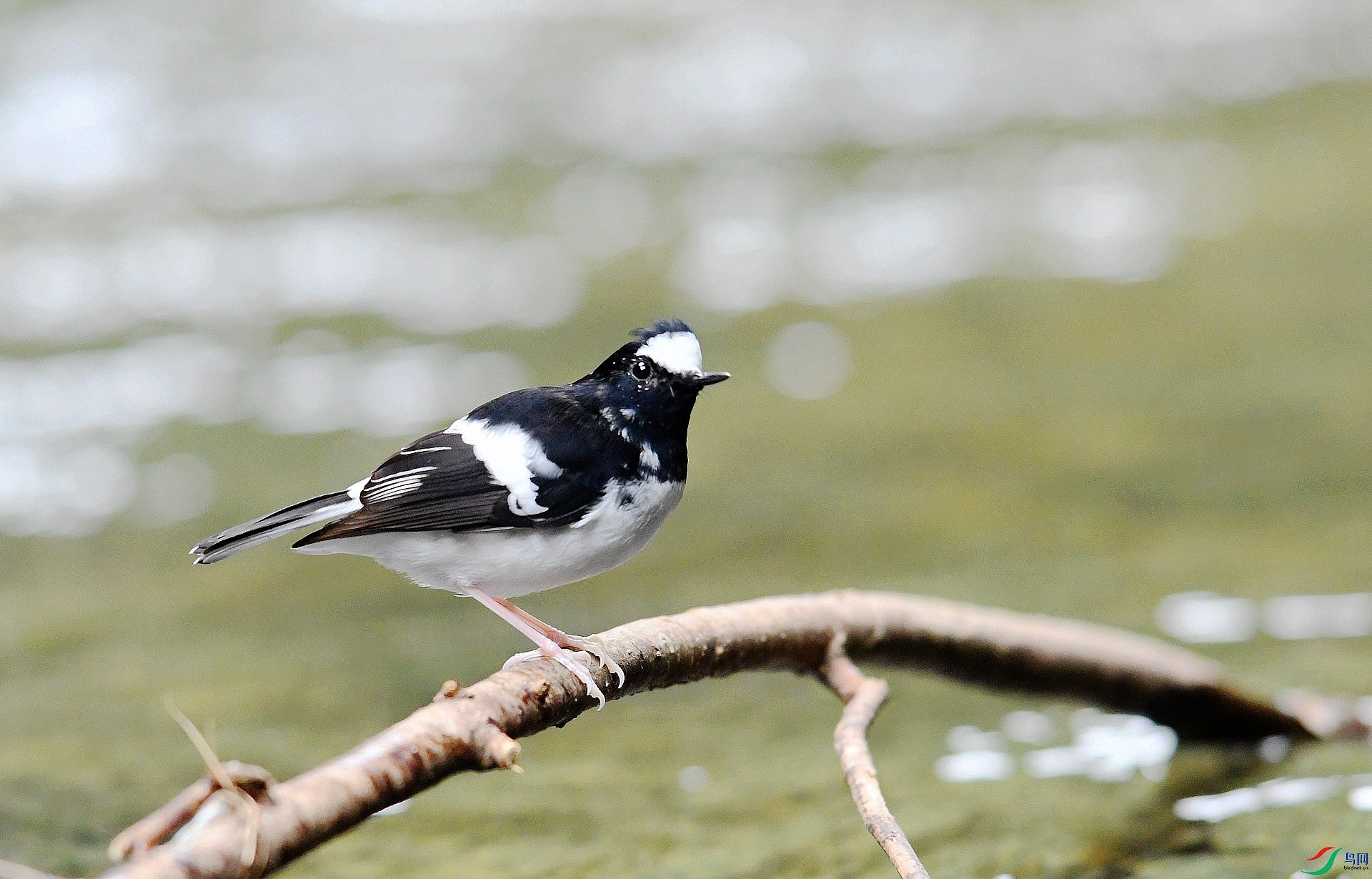 DSC_7161.jpg