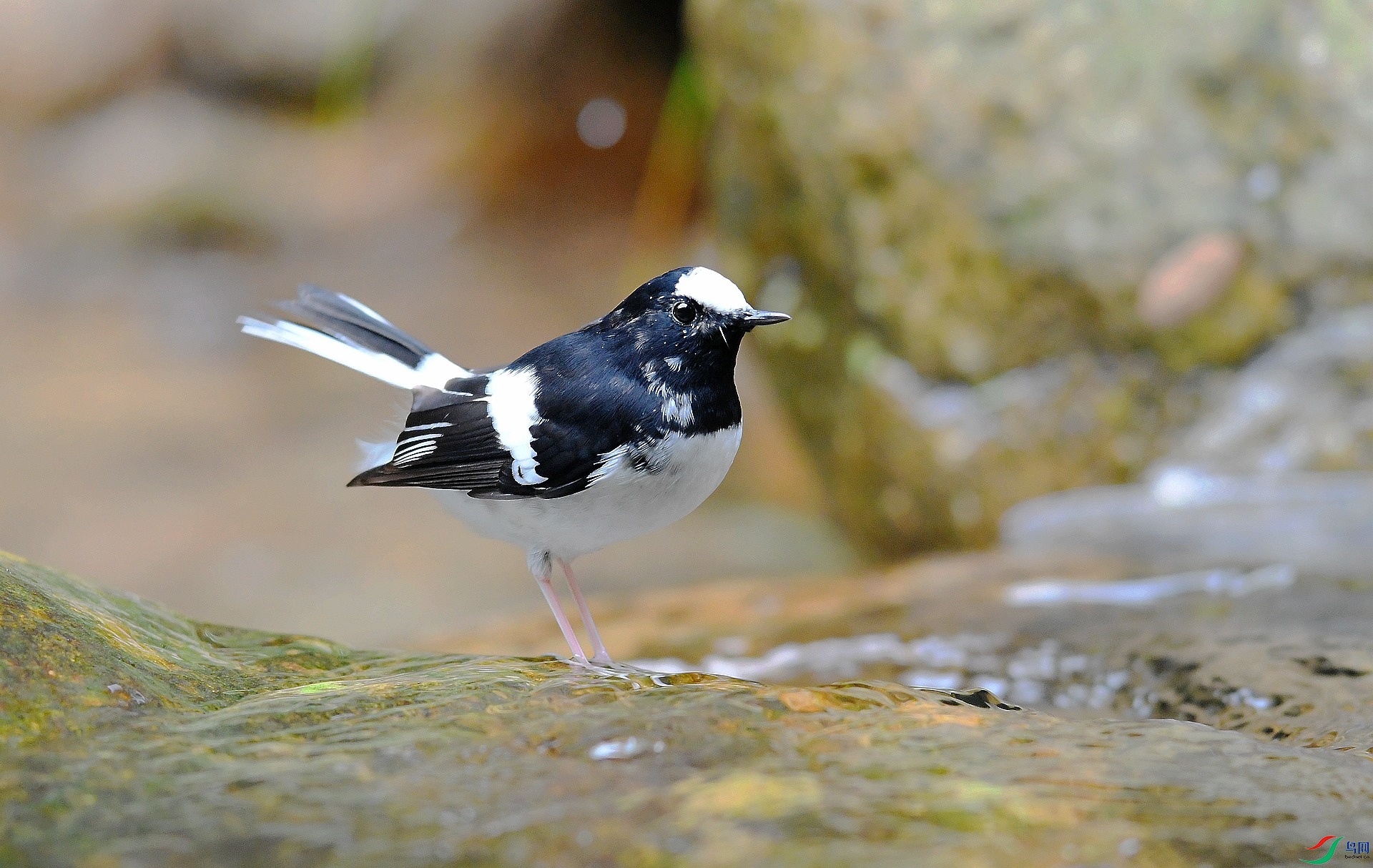 DSC_7160.jpg
