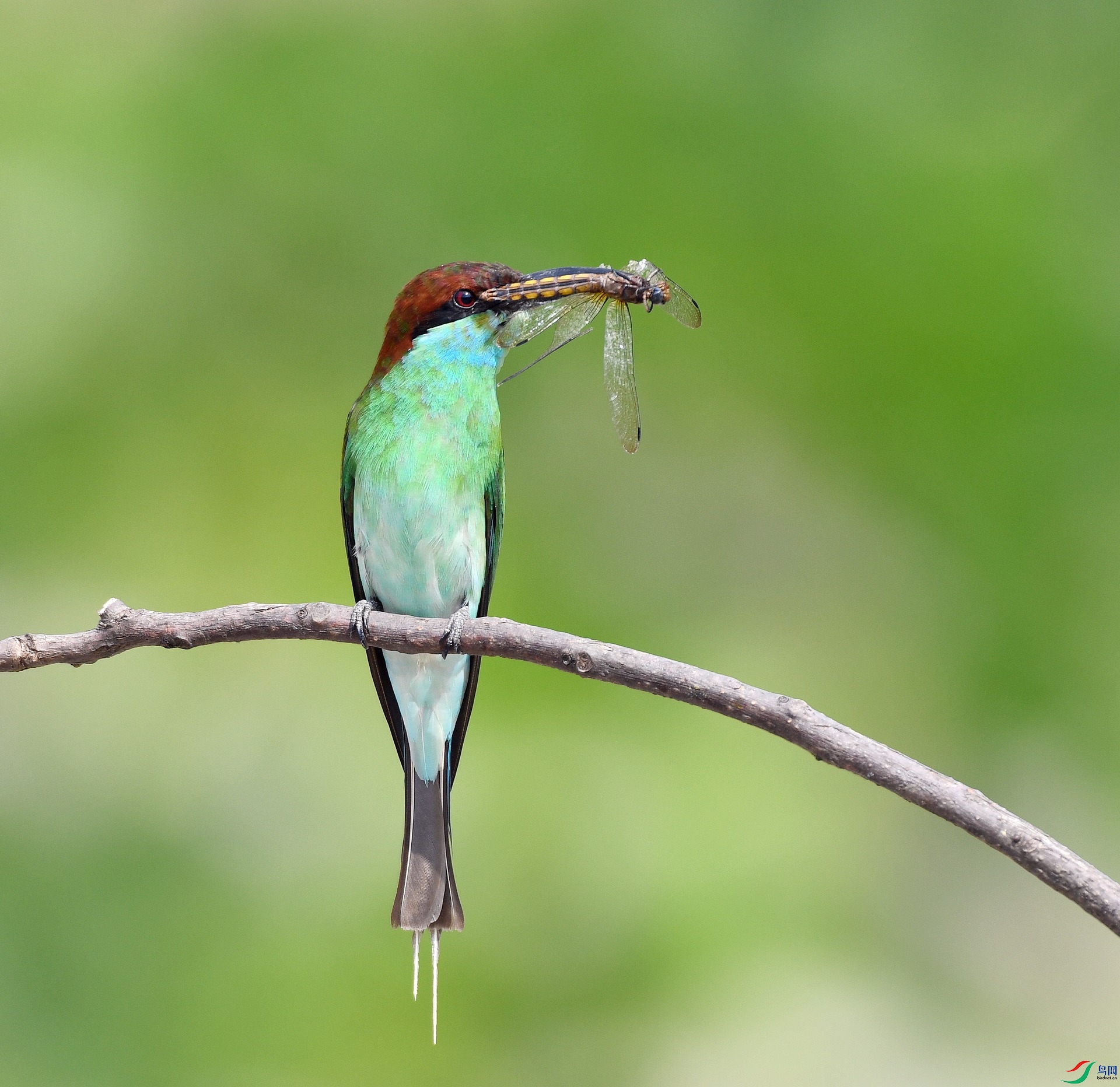 DSC_1066.jpg
