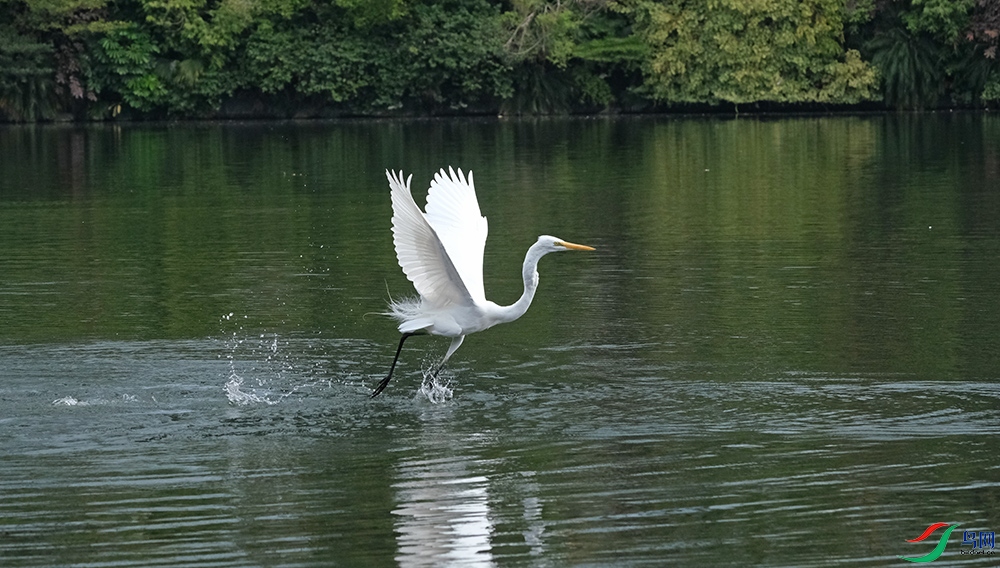 DSCF8829.1.jpg