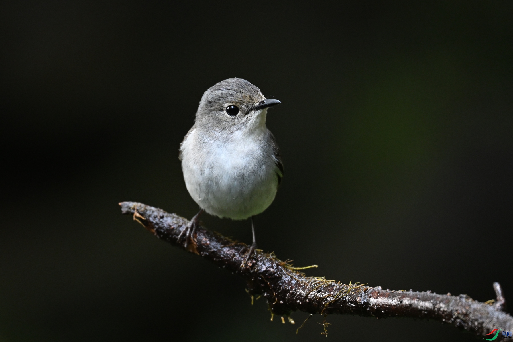 DSC_6967.JPG