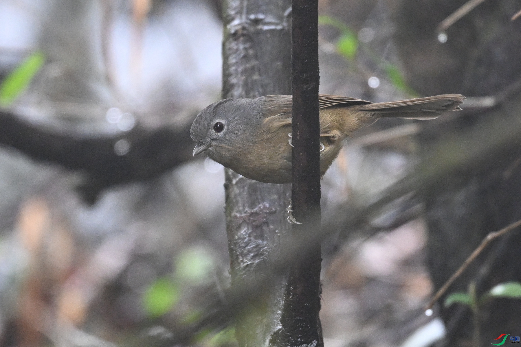 DSC_6997.JPG
