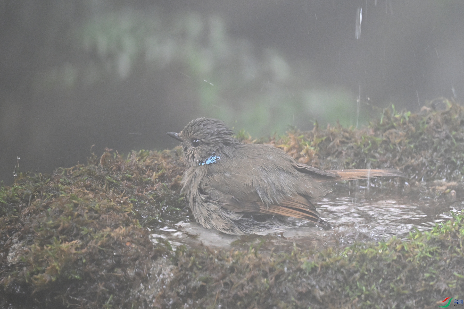 DSC_7020.JPG