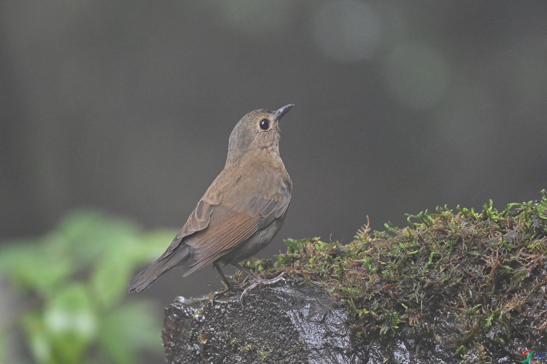 DSC_7002.JPG
