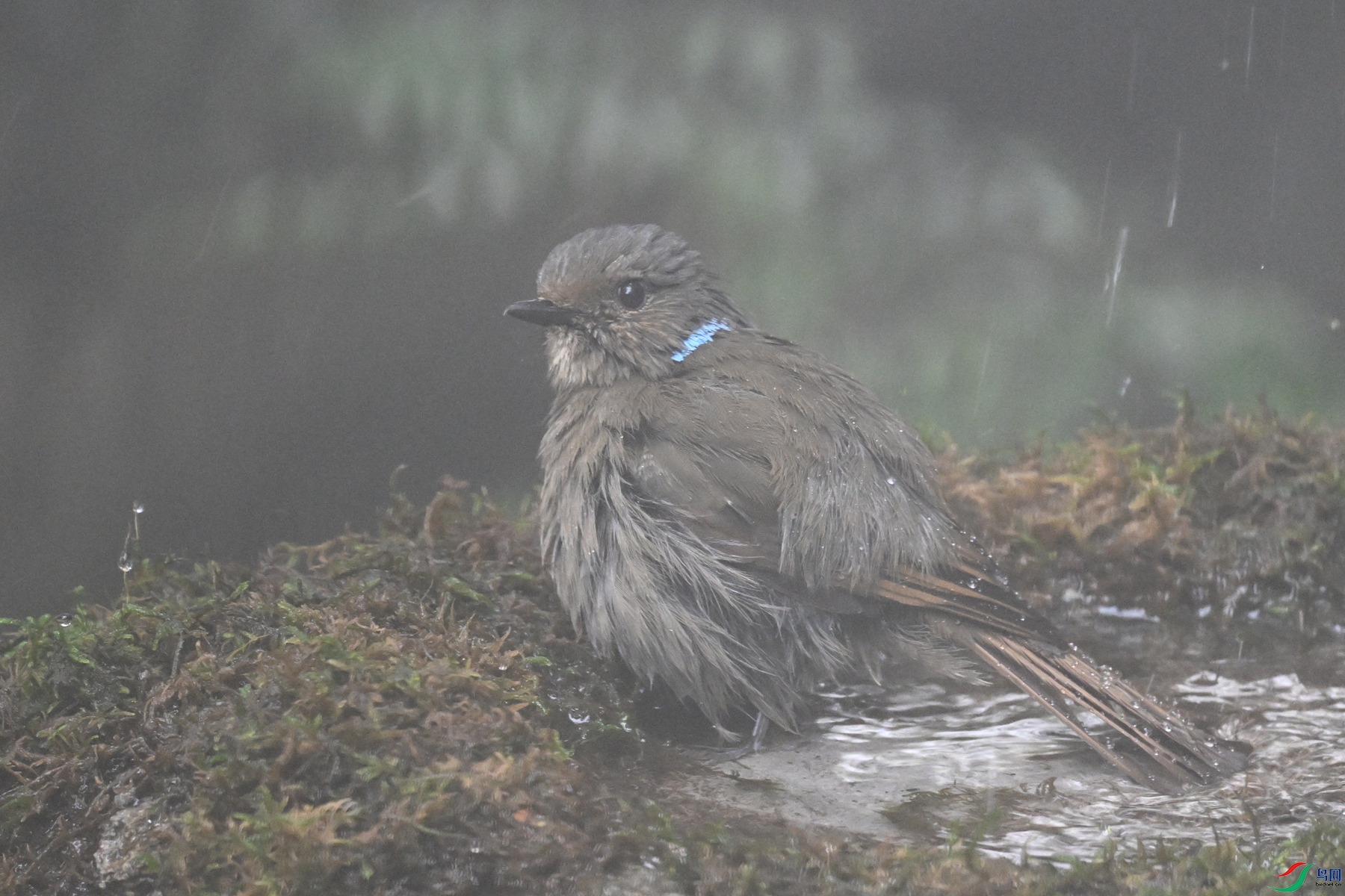 DSC_7024.JPG