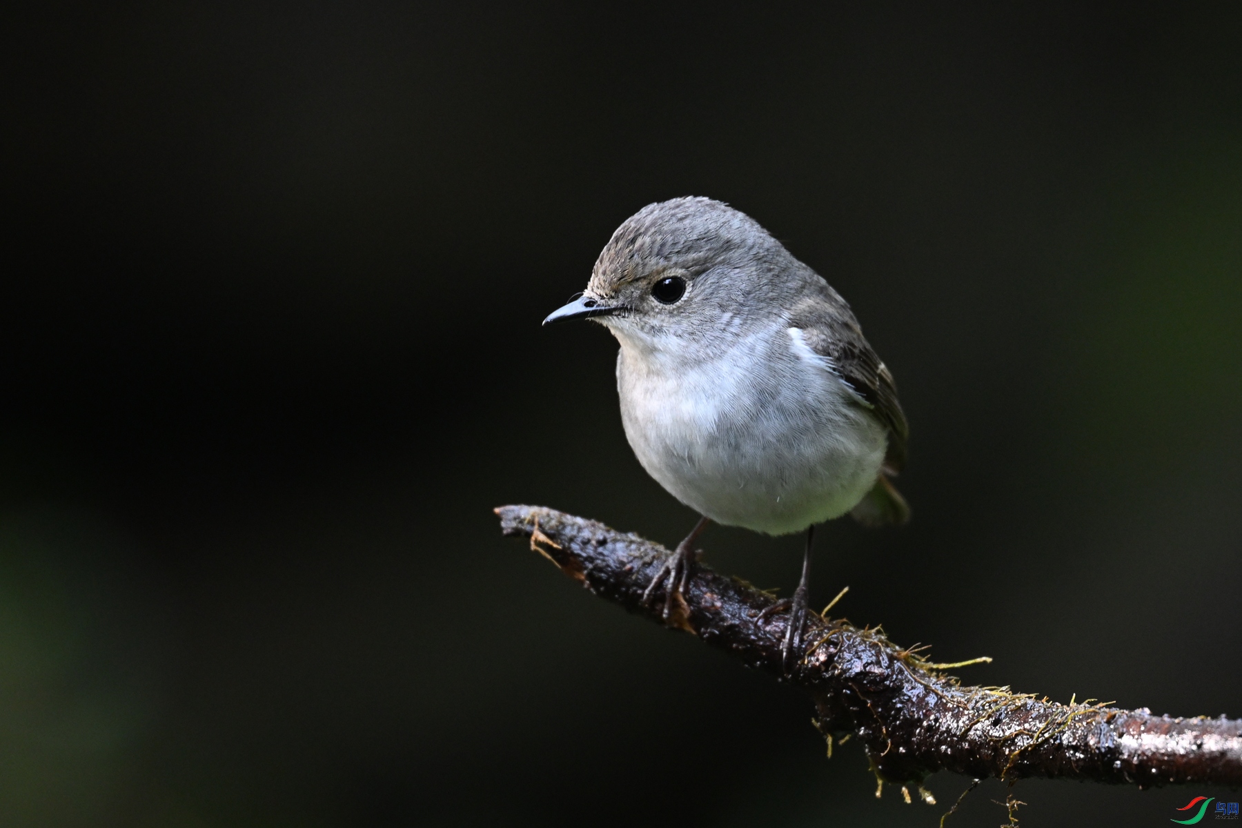 DSC_6972.JPG