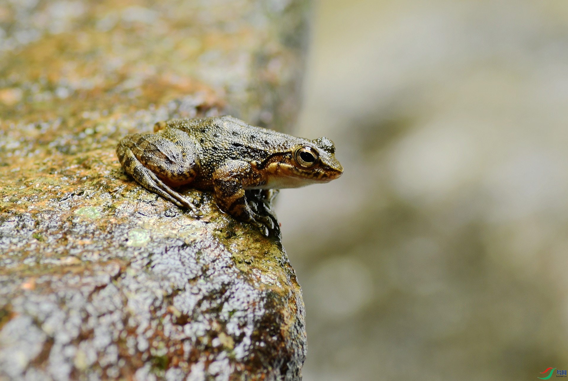 DSC_2329.jpg