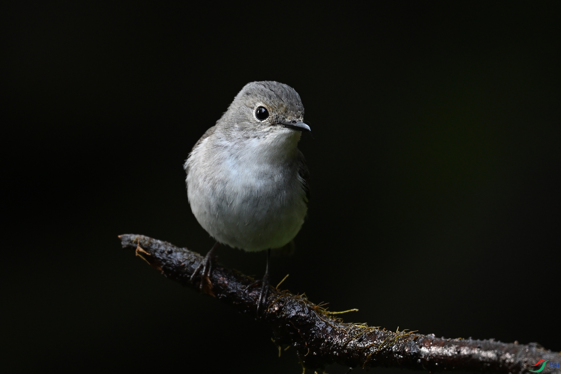 DSC_6975.JPG