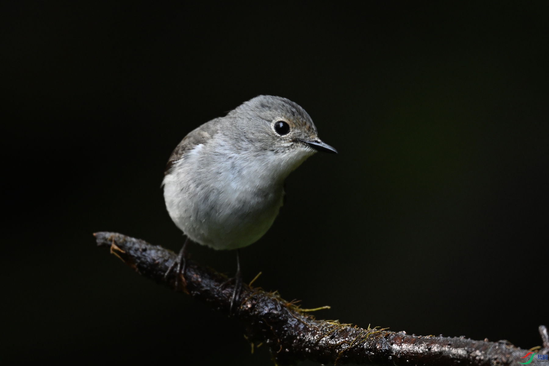 DSC_6978.JPG