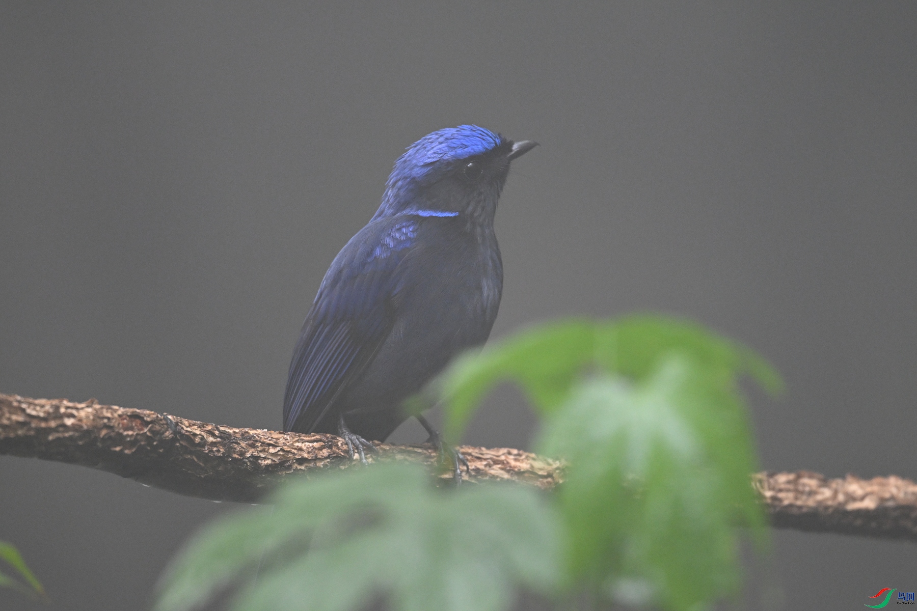 DSC_7017.JPG