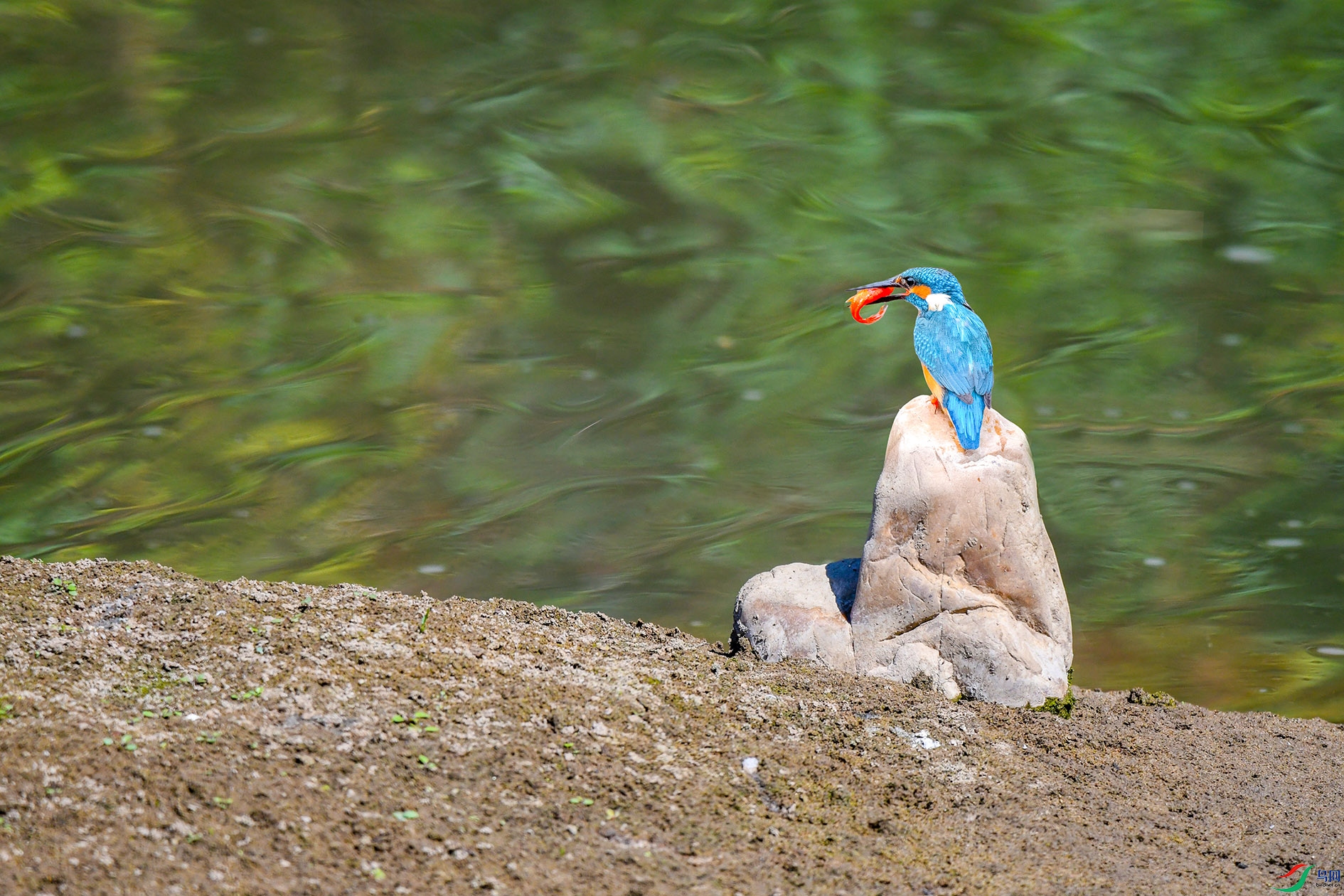 DSC_9434_��ͼ�� ����.jpg