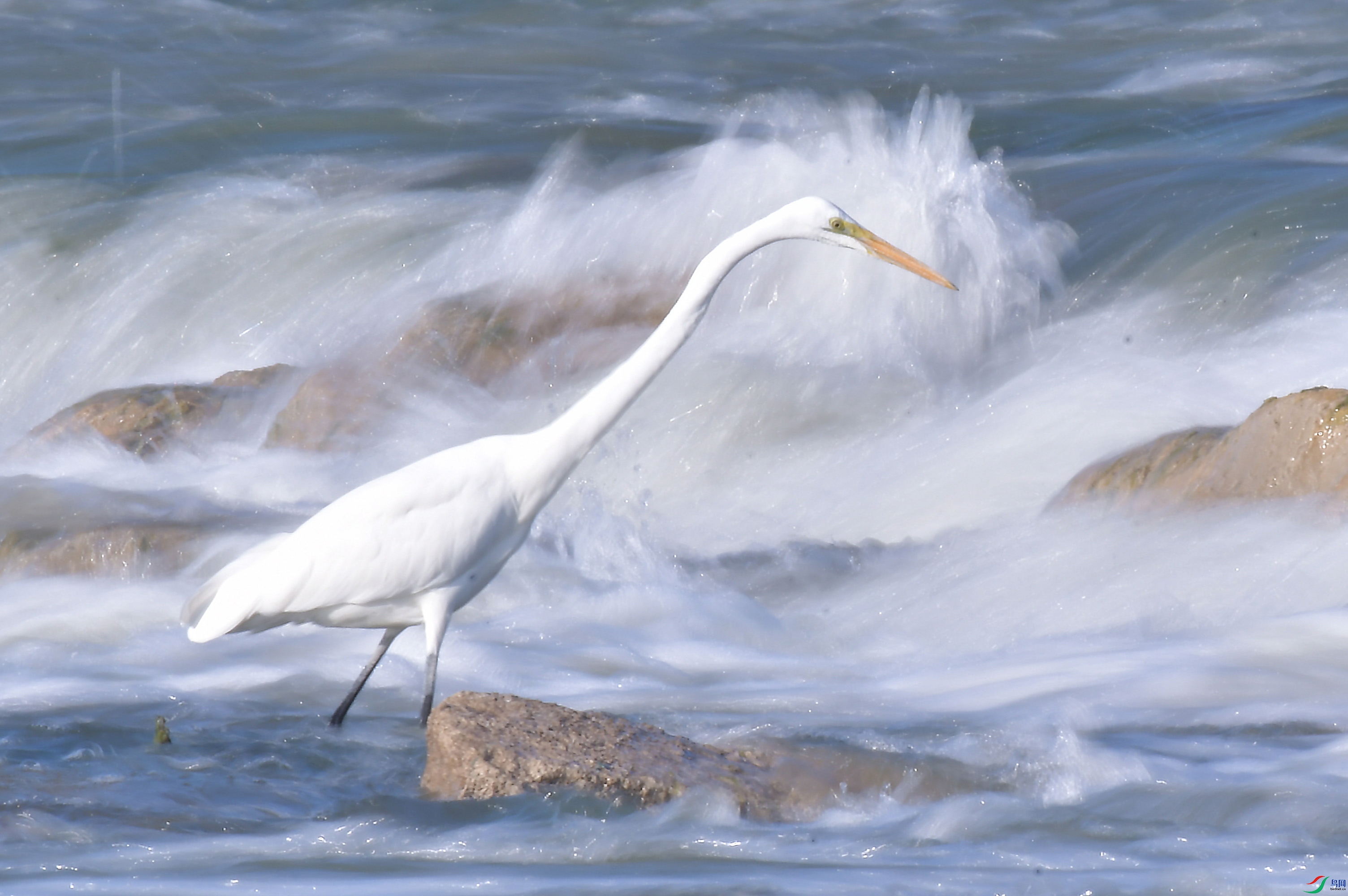DSC_4716.JPG