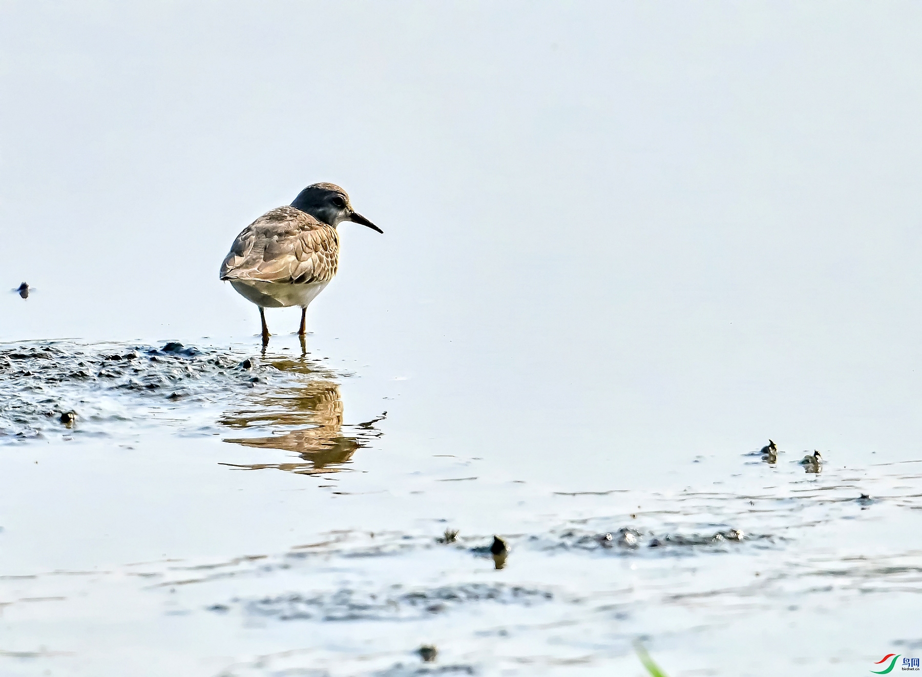 DSC_6150---_conew1.jpg