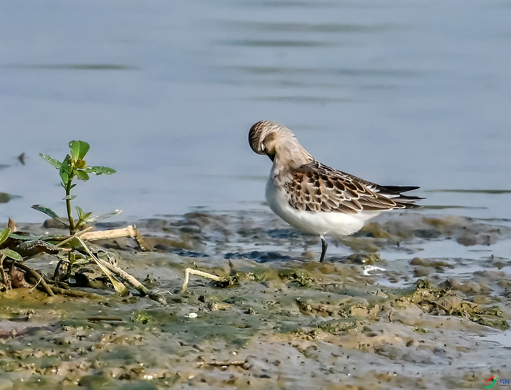 DSC_6028---_conew1.jpg