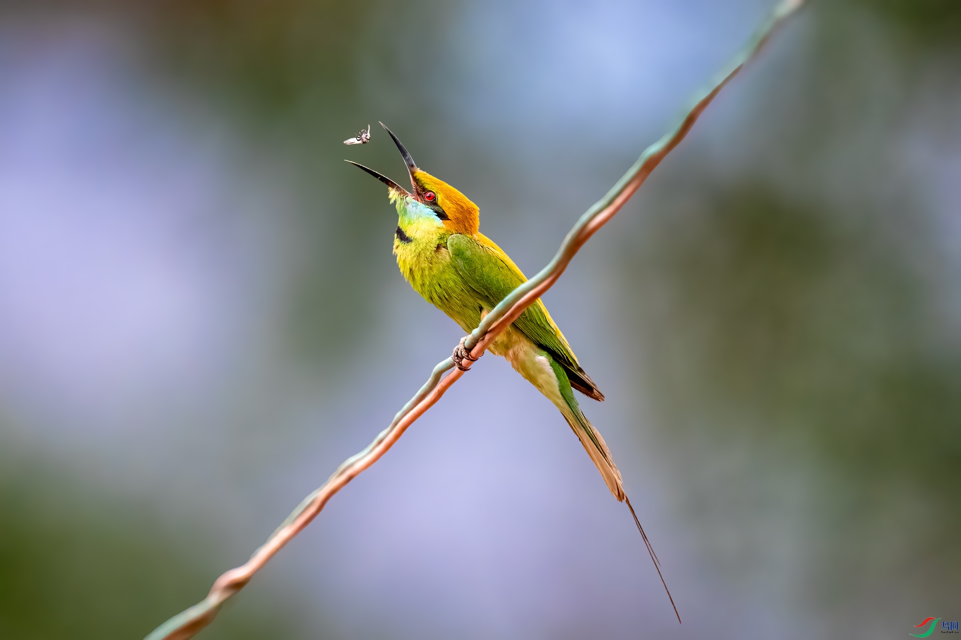 DSC_3483.jpg