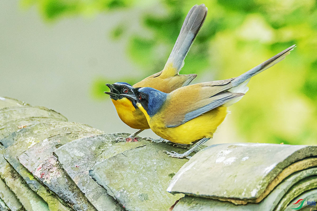 DSC_3554.jpg