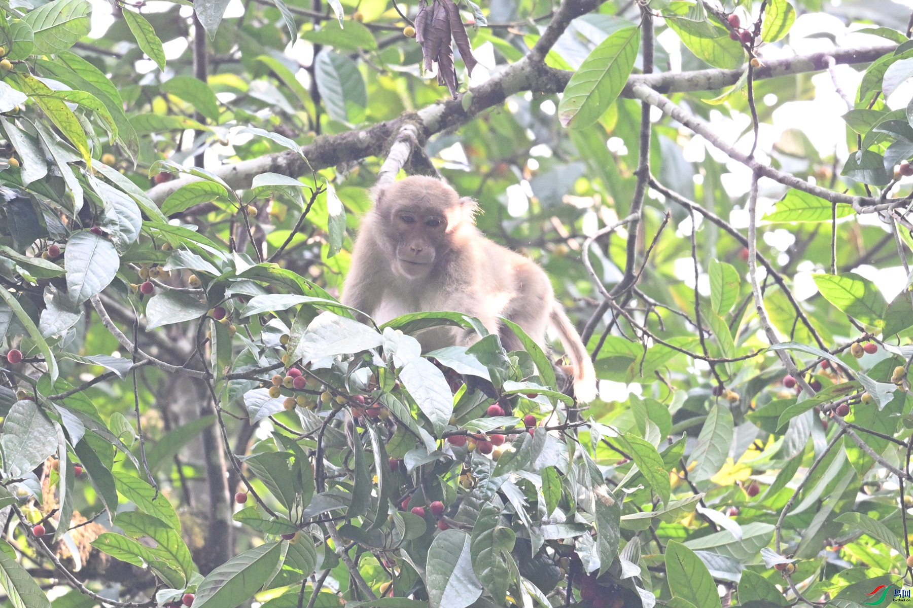 DSC_6574.JPG