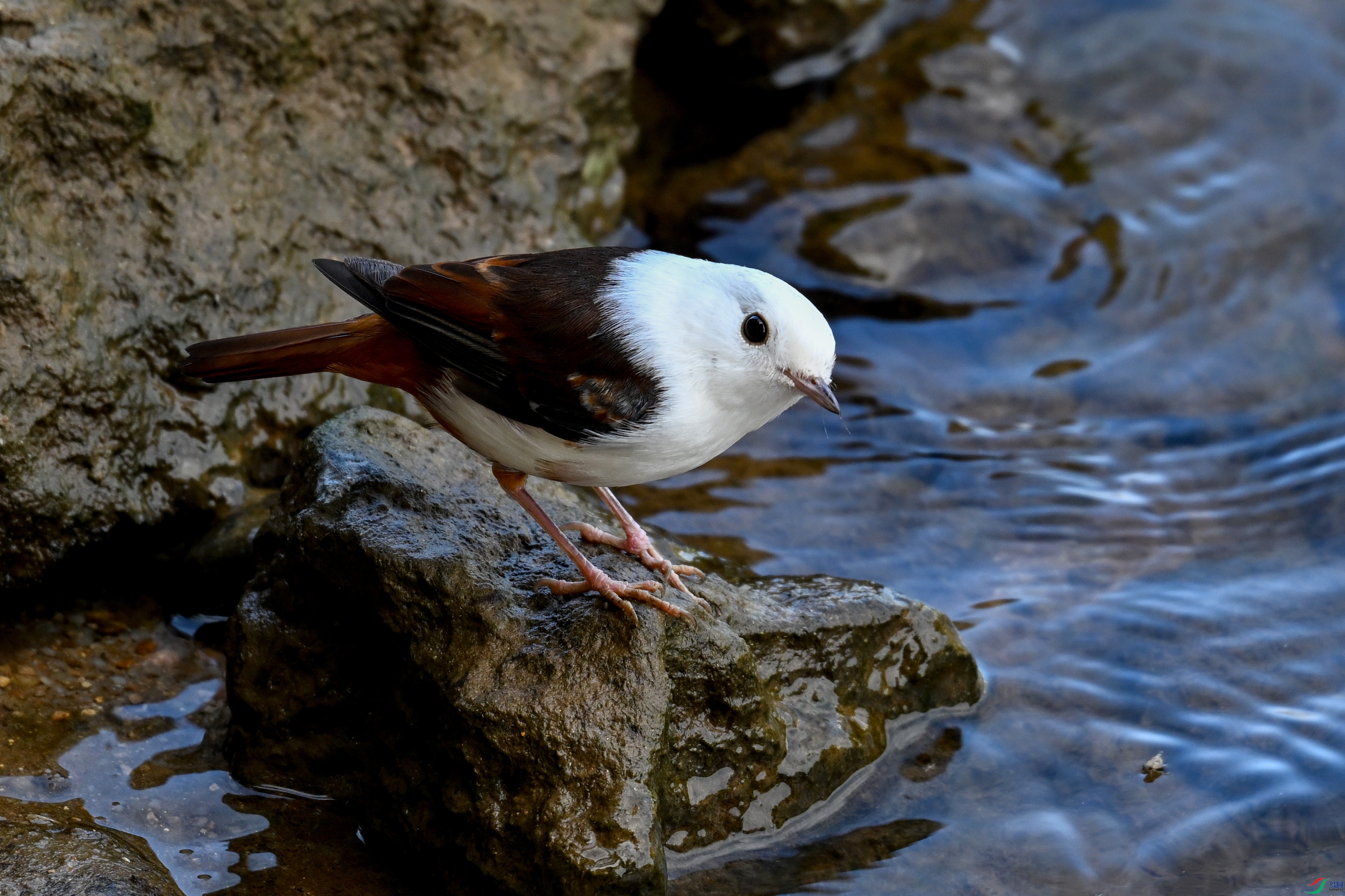 DSC_2863.JPG