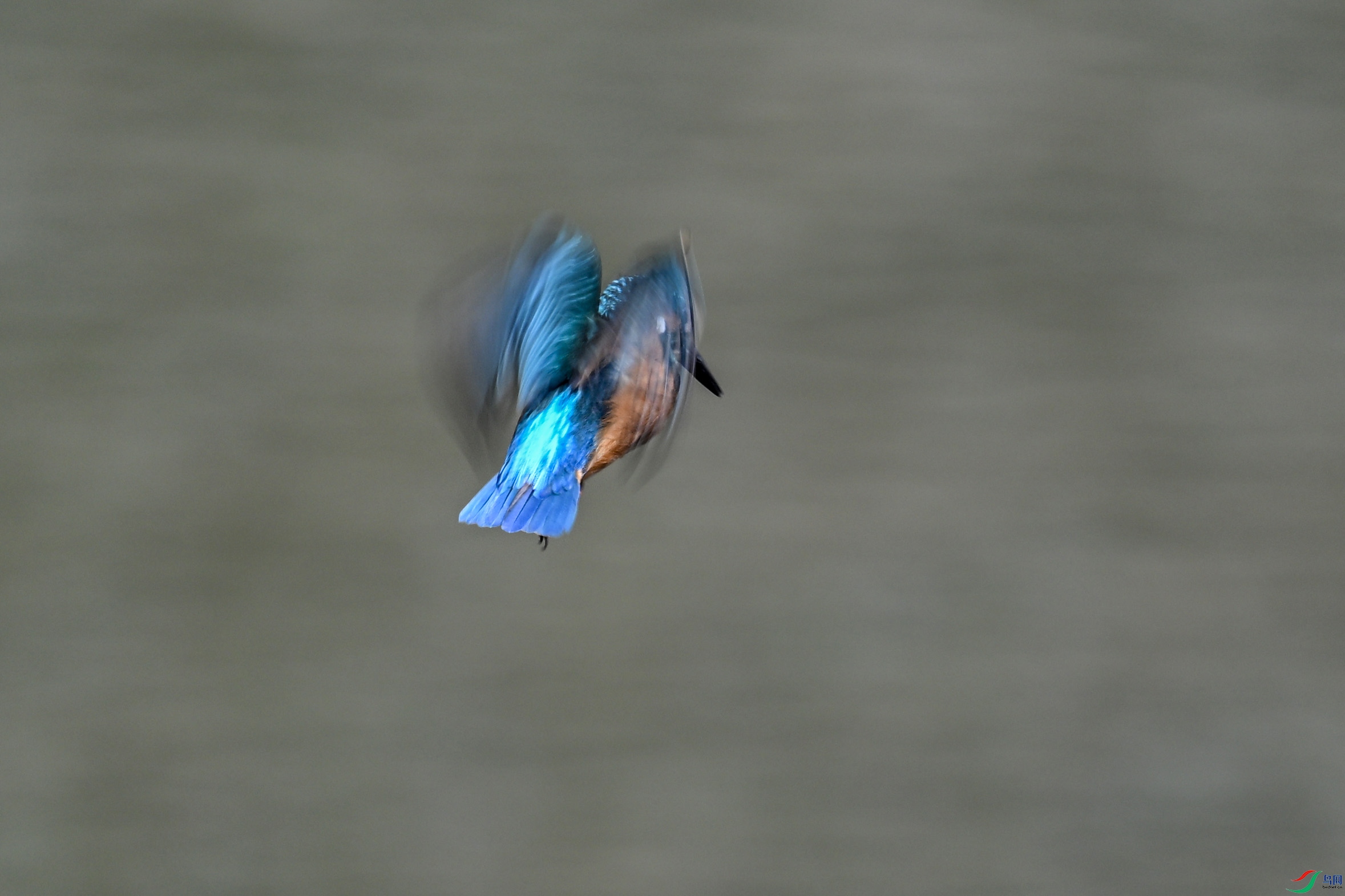 DSC_2934.JPG