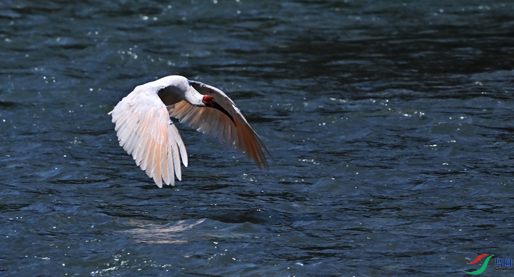DSC_4400.JPG