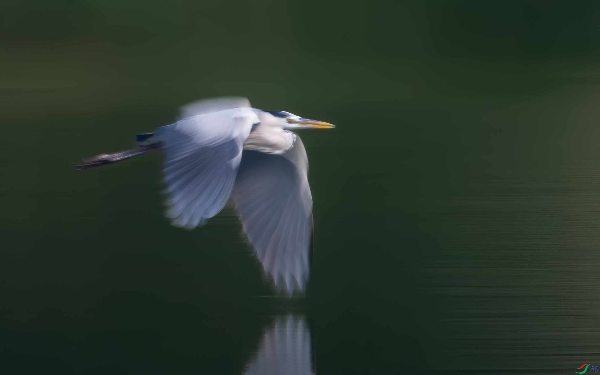 DSC_8131-1.jpg