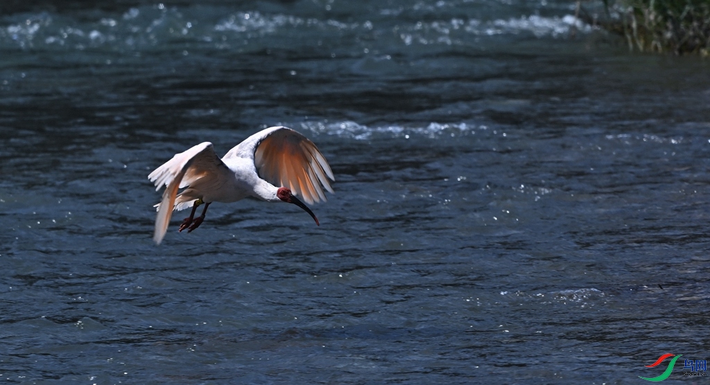 DSC_4406.JPG