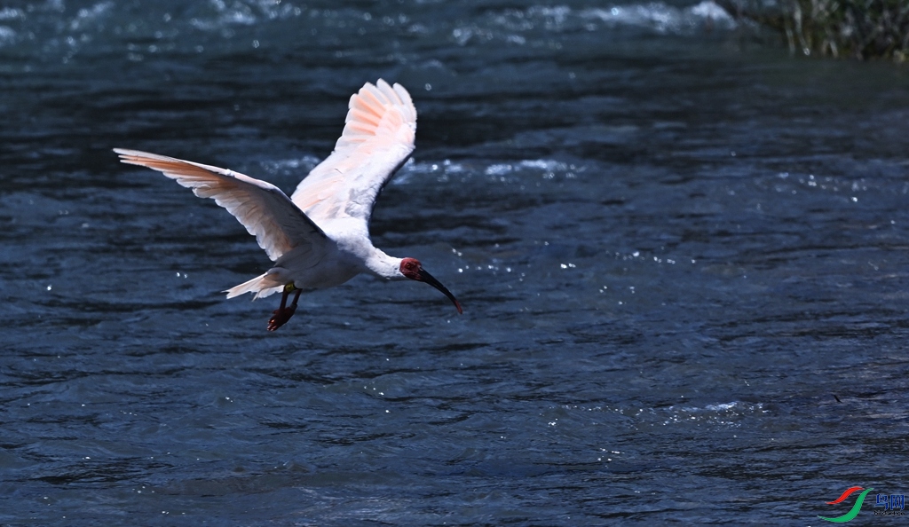 DSC_4407.JPG