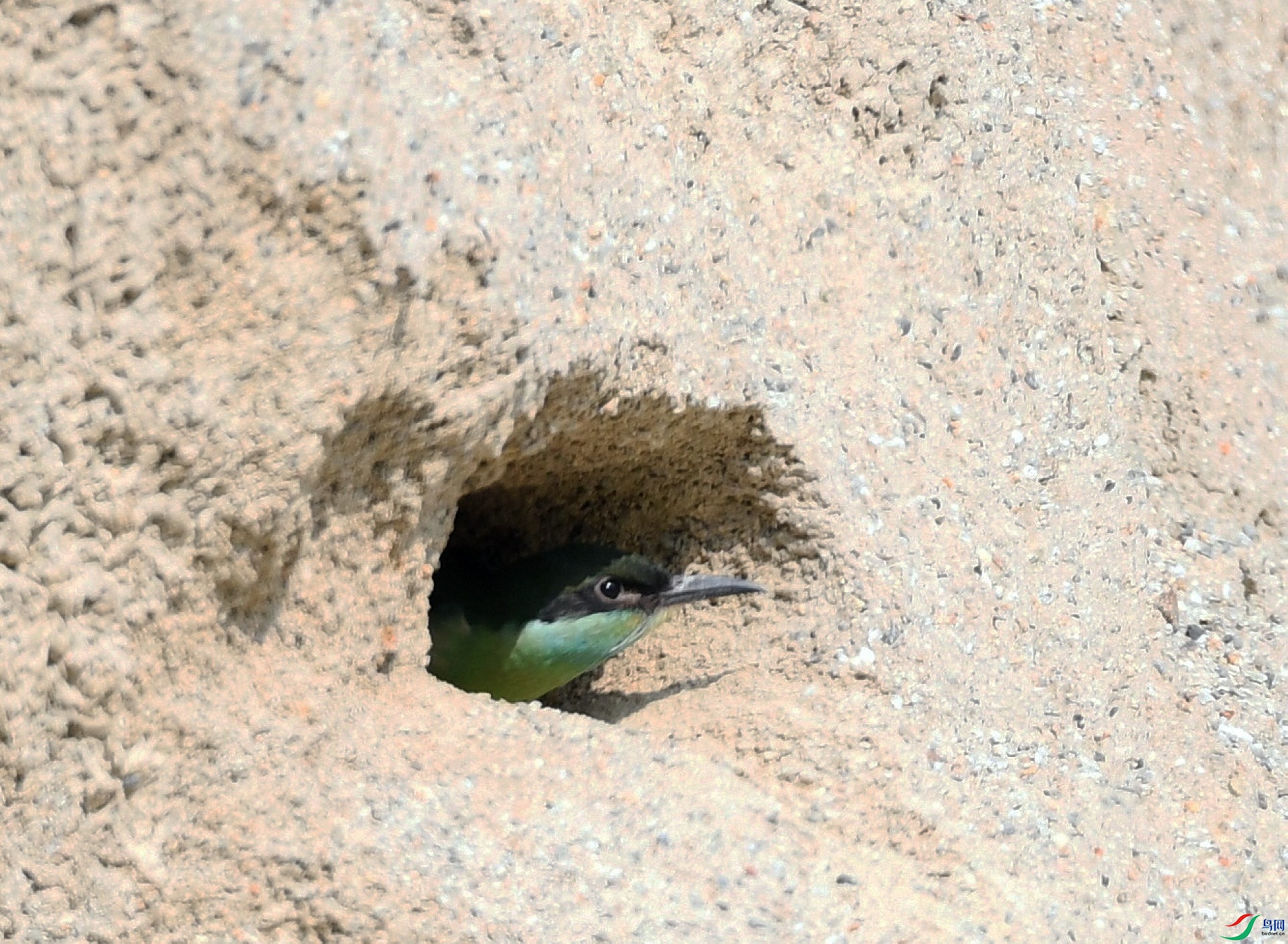 DSC_0949.jpg