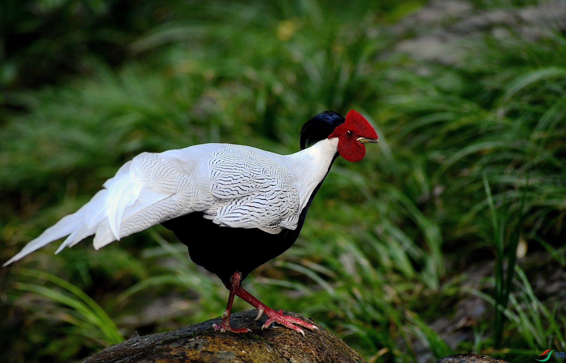 DSC_2067.jpg