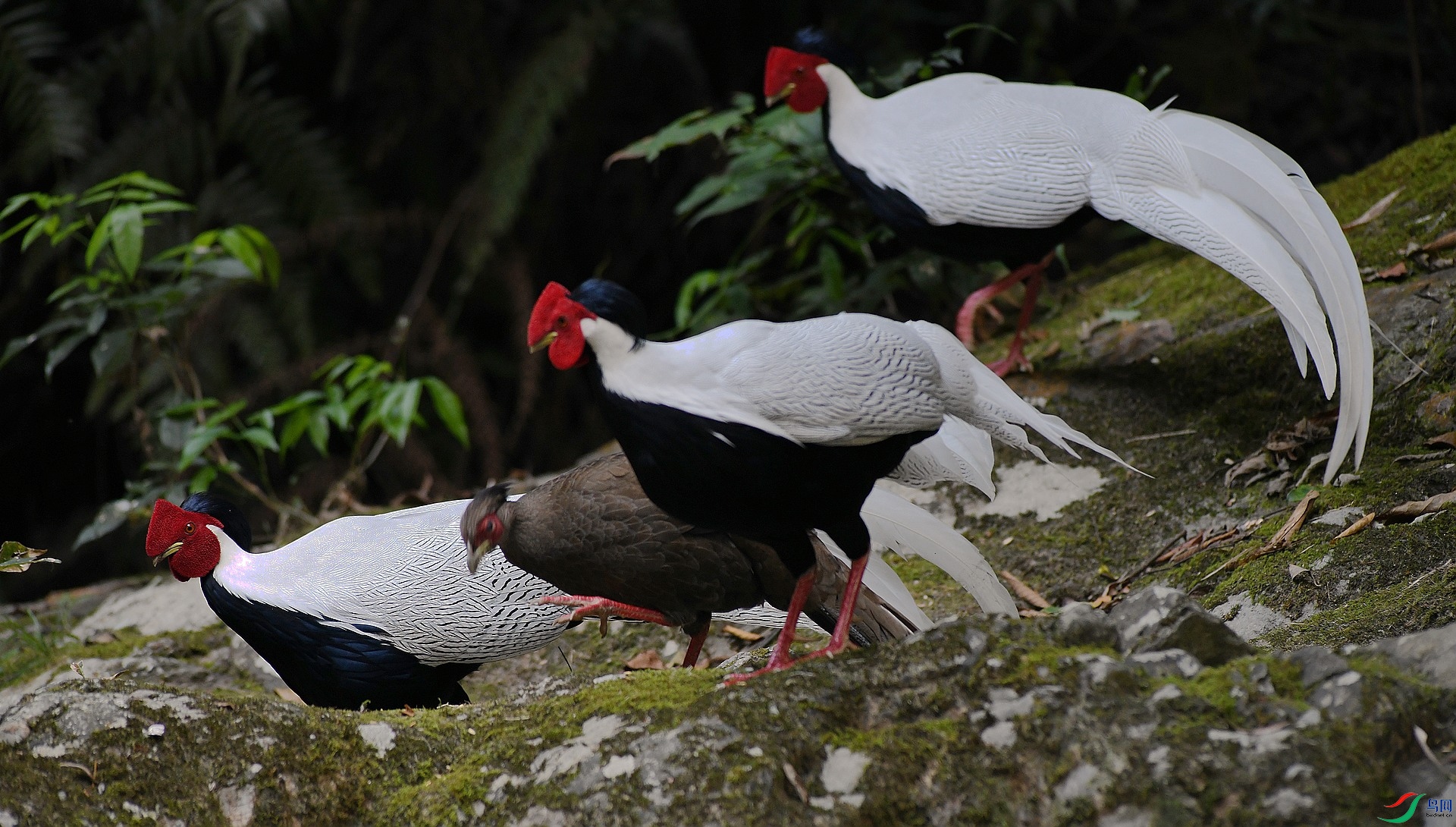 DSC_2148.jpg