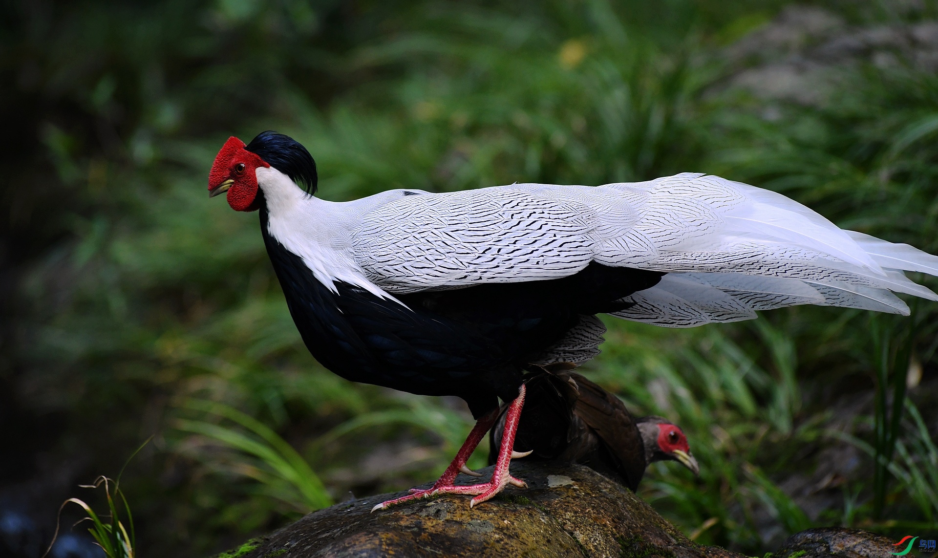 DSC_2055.jpg