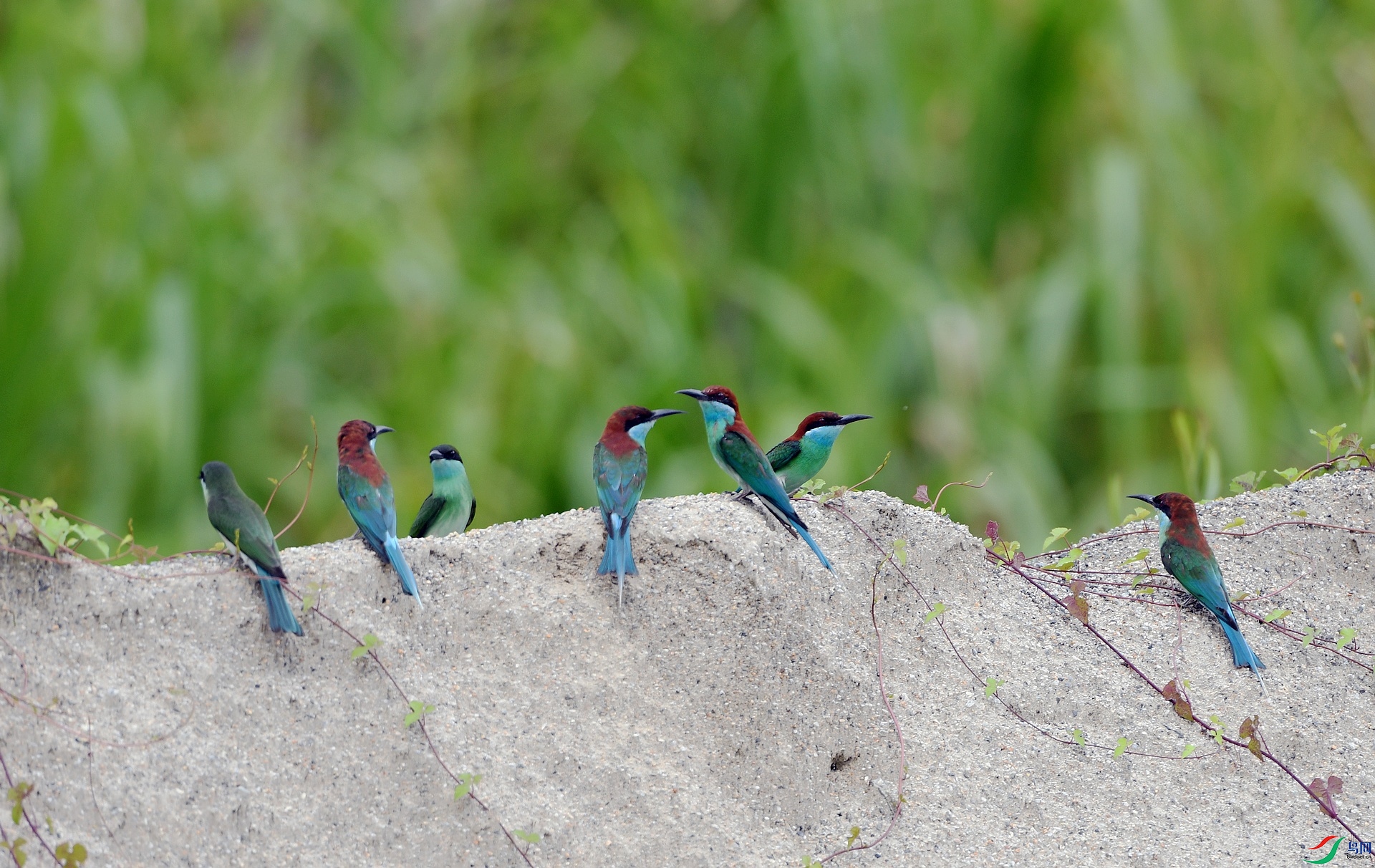 DSC_3135.jpg