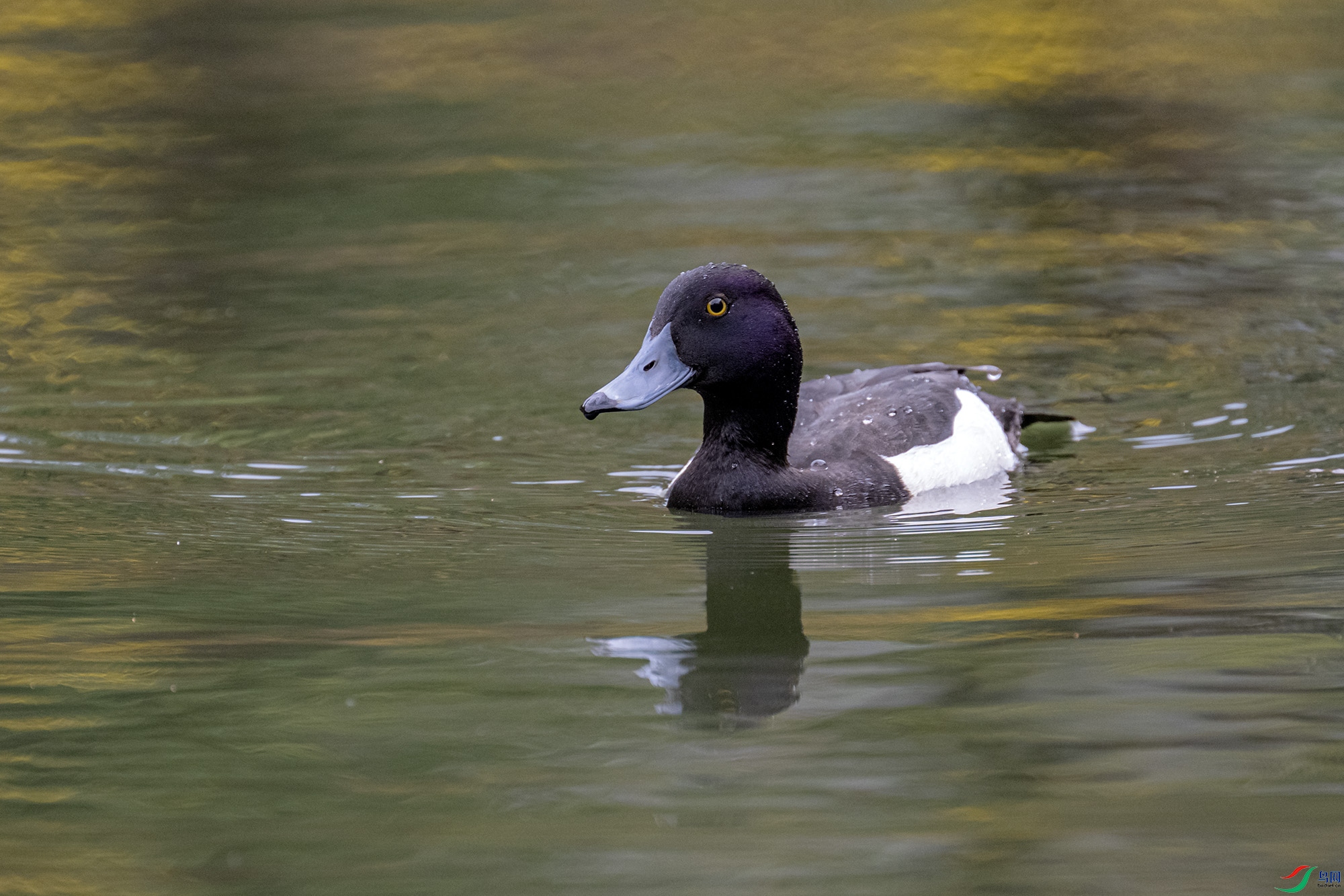 DSC_5150.jpg