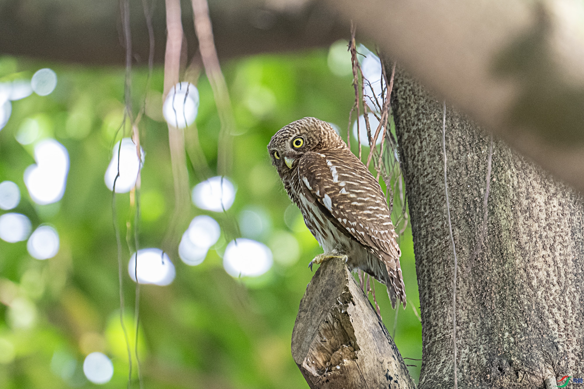 DSC_5307.jpg