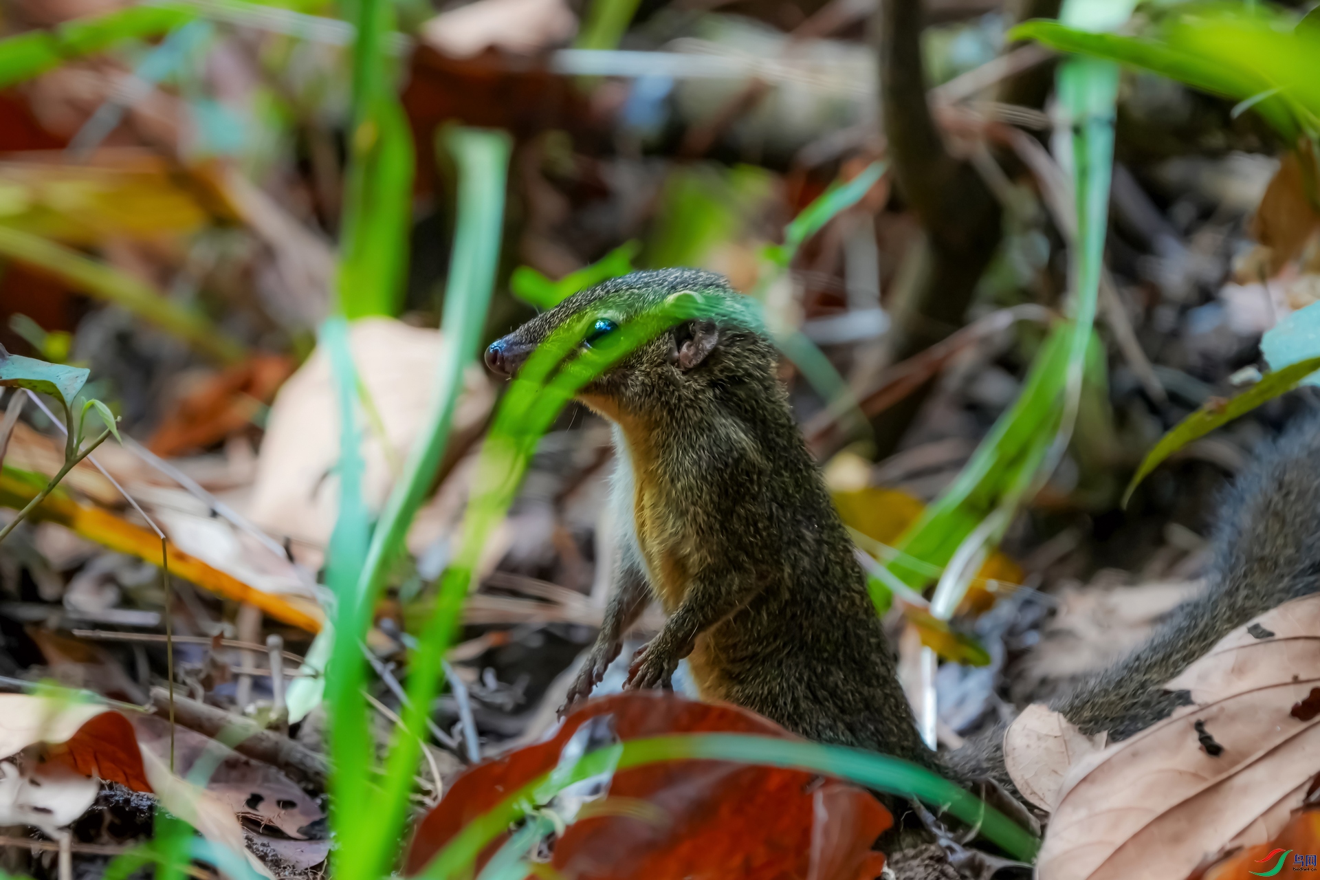 DSC0007455.jpg