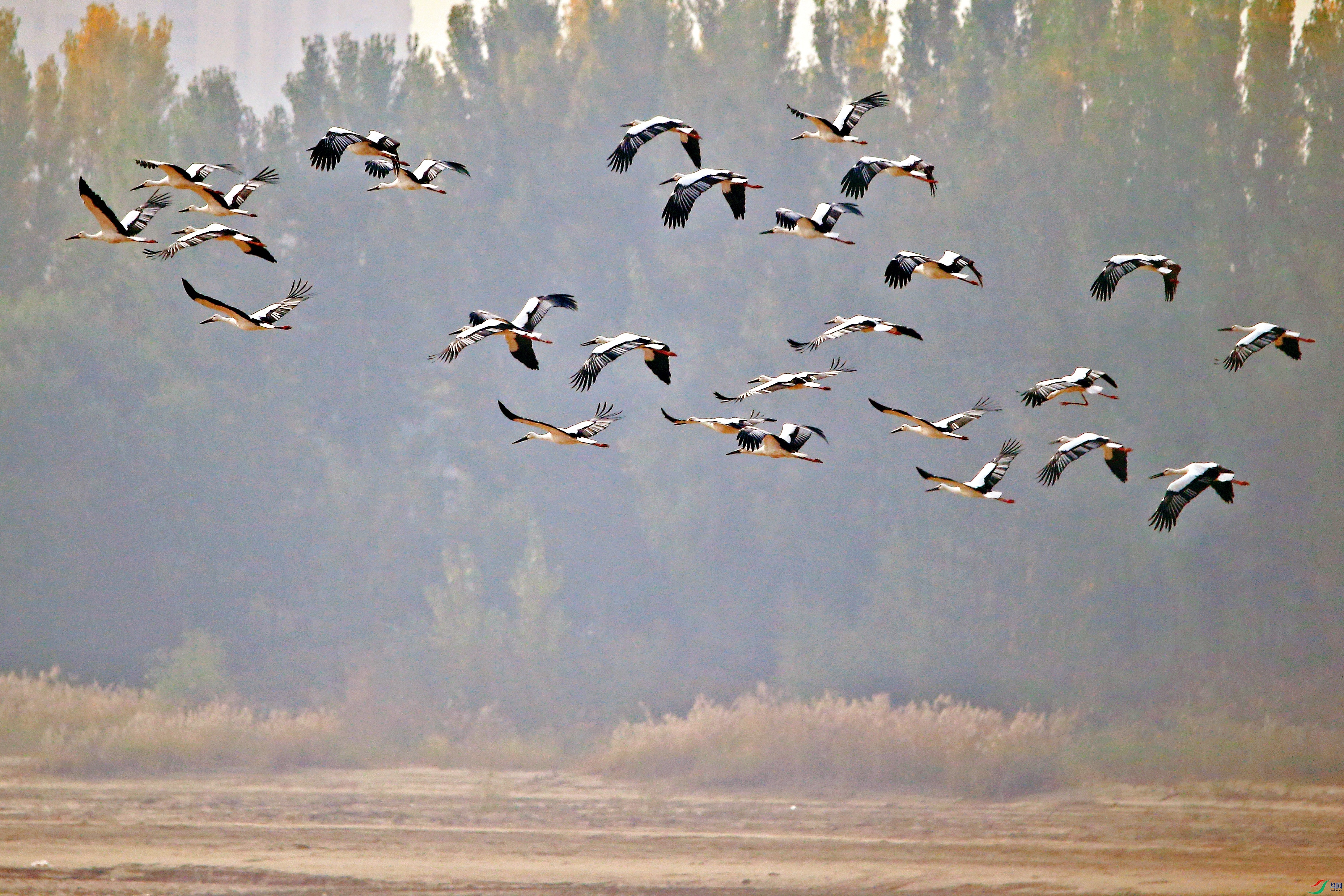 DB4W9326_����.jpg